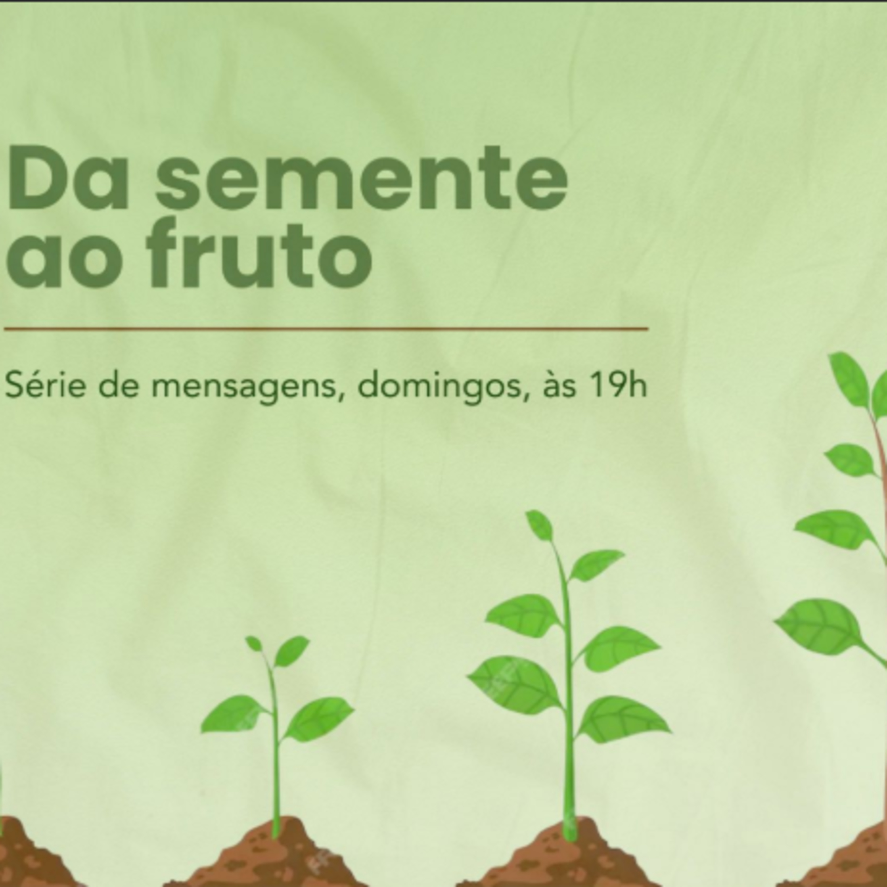 Da semente ao fruto | Maturidade - Ações e Reações