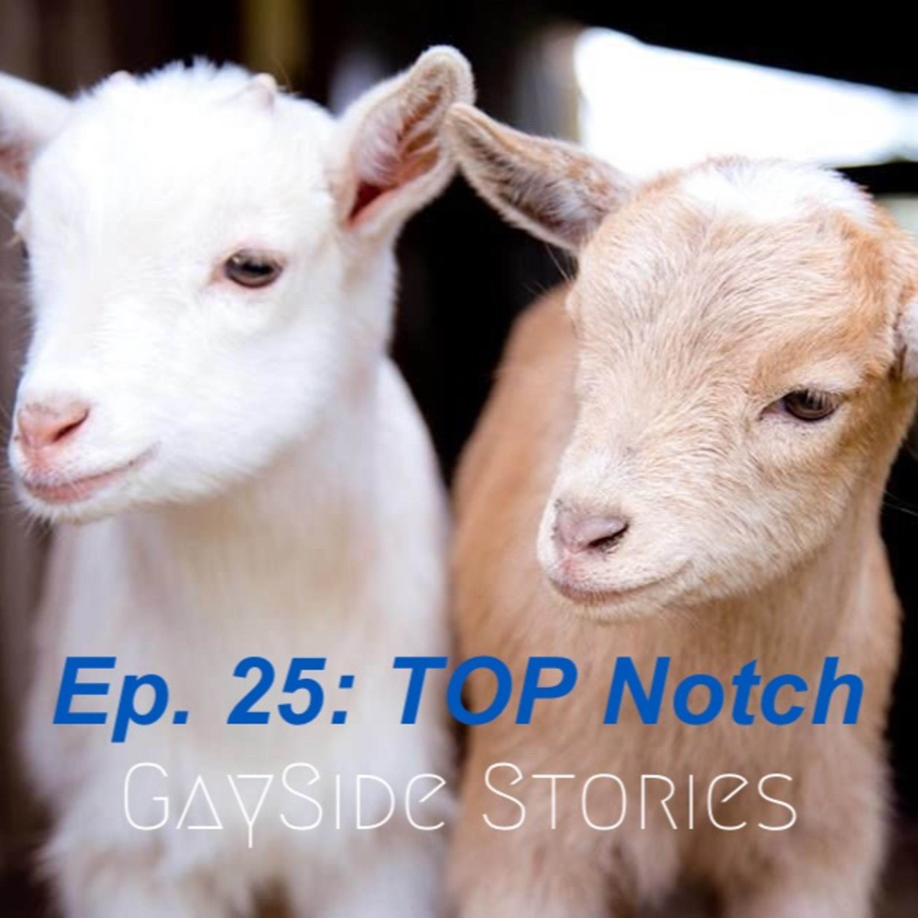 Ep. 25 - TOP Notch (feat. John Salvatore of The John Effect Podcast) episode artwork