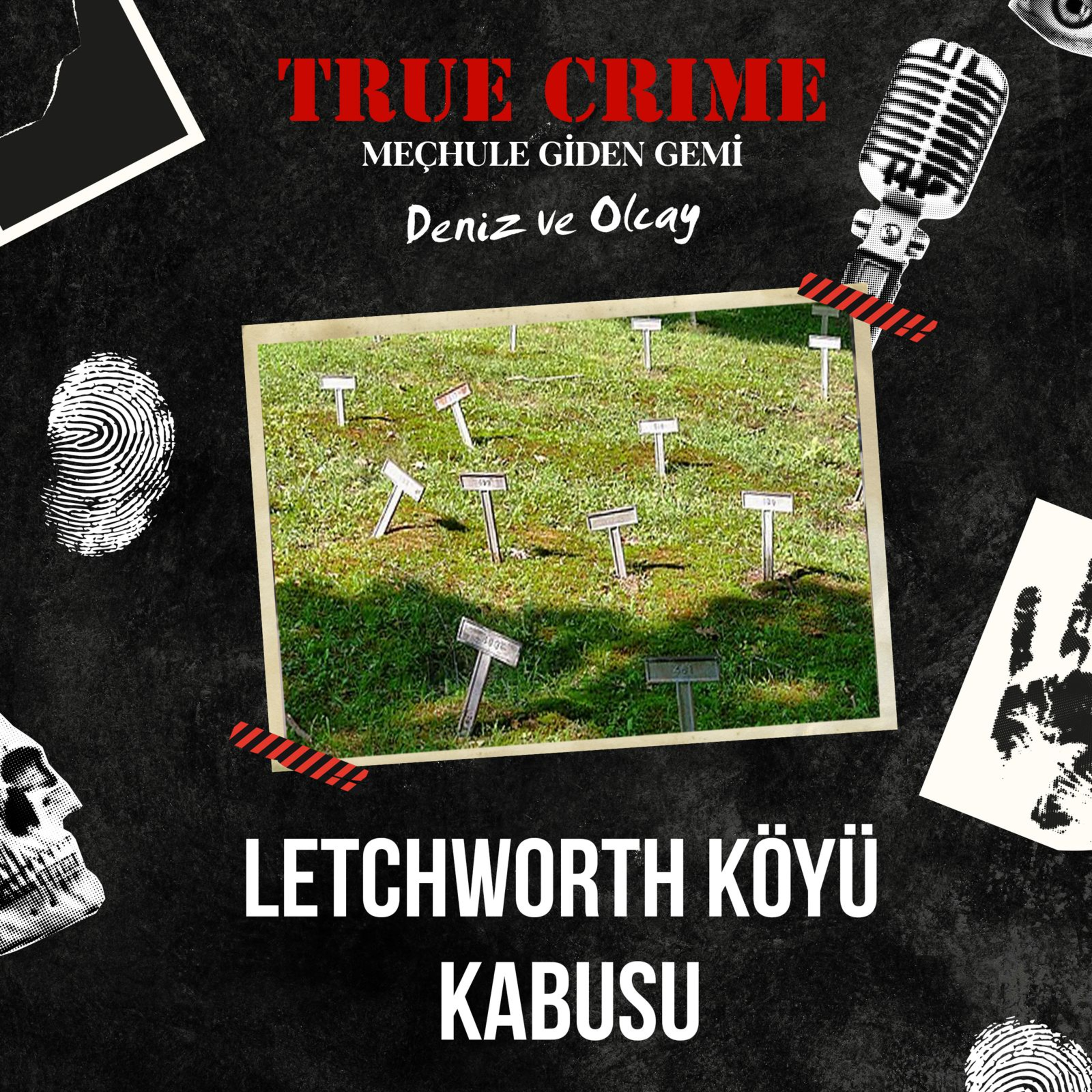 True Crime: Meçhule Giden Gemi