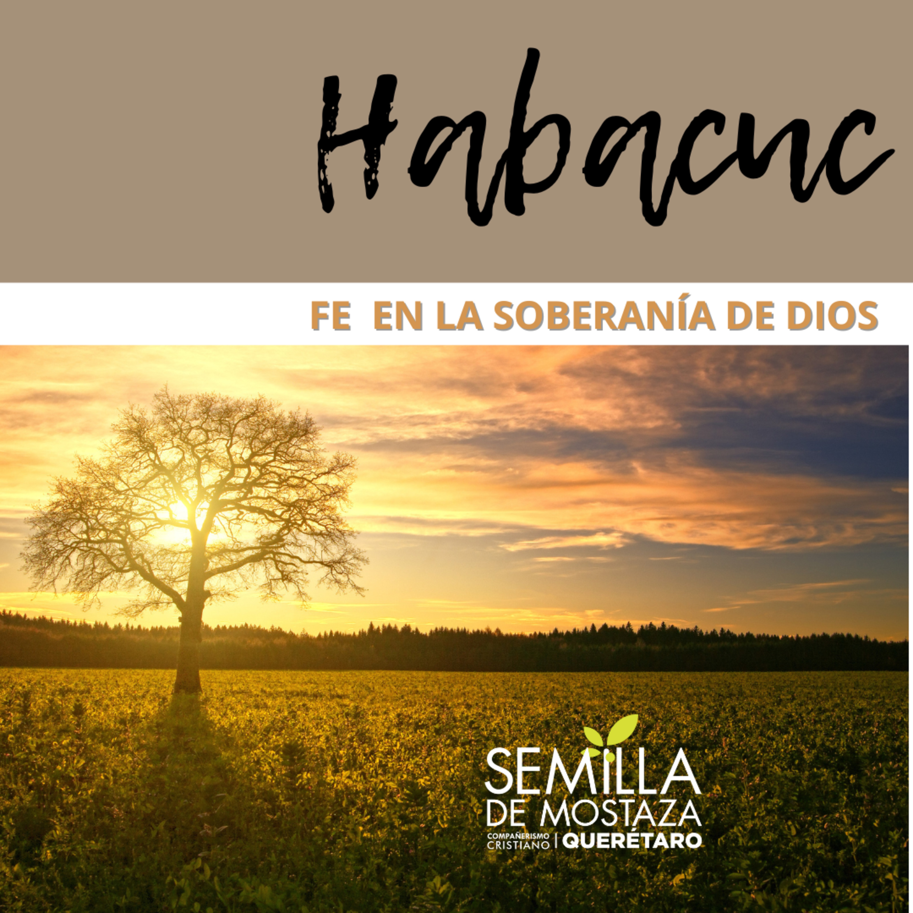 (02) Habacuc 2: Mirando hacia arriba y escuchando episode artwork
