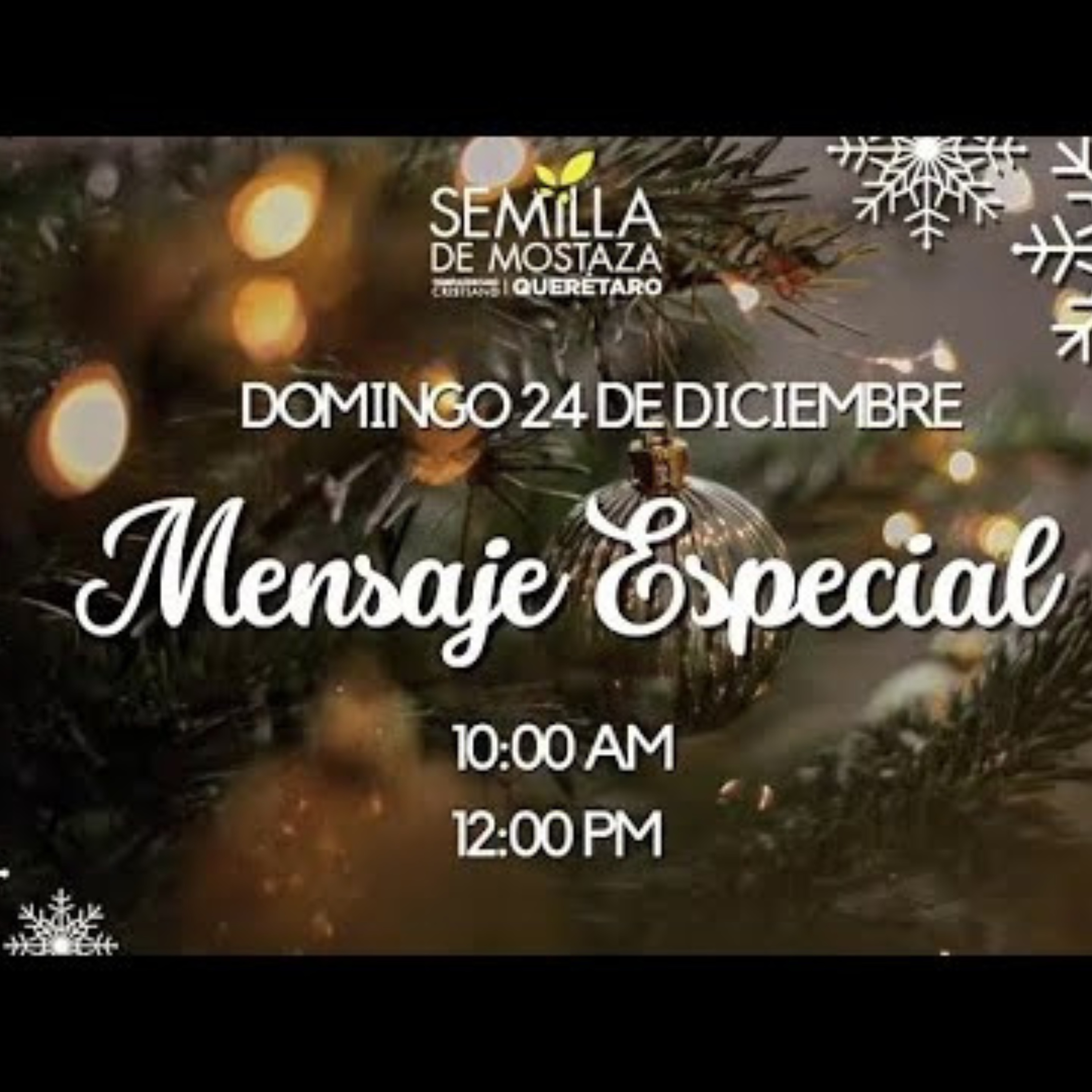 Servicio Especial de Navidad 2023 episode artwork