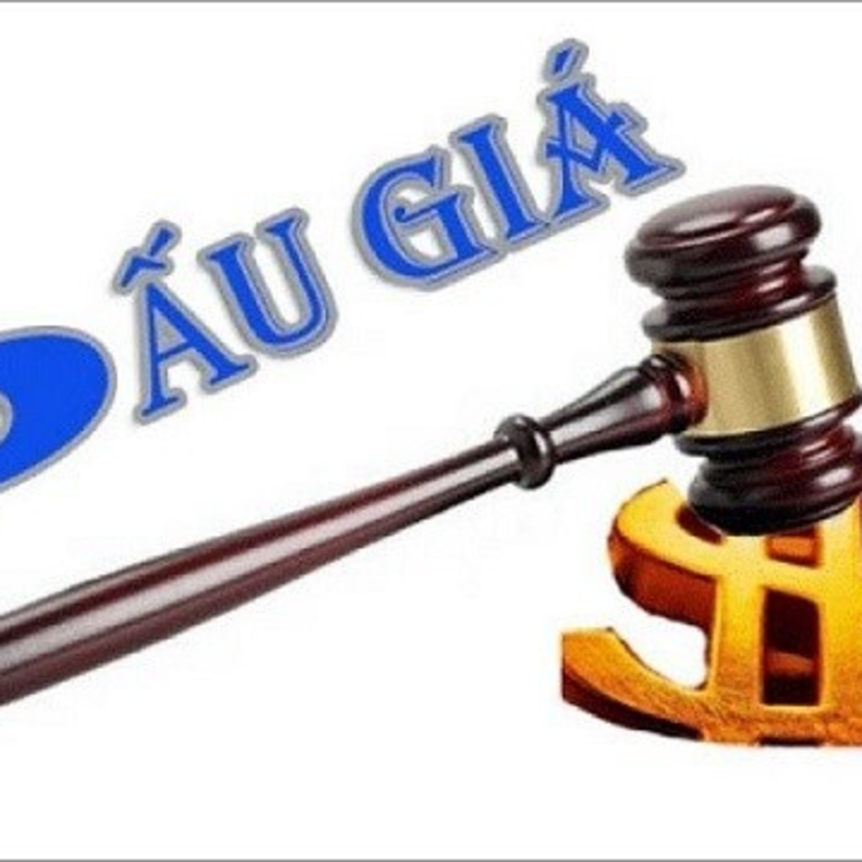 Quốc hội với cử tri - Hoàn thiện pháp luật về đấu giá tài sản episode artwork