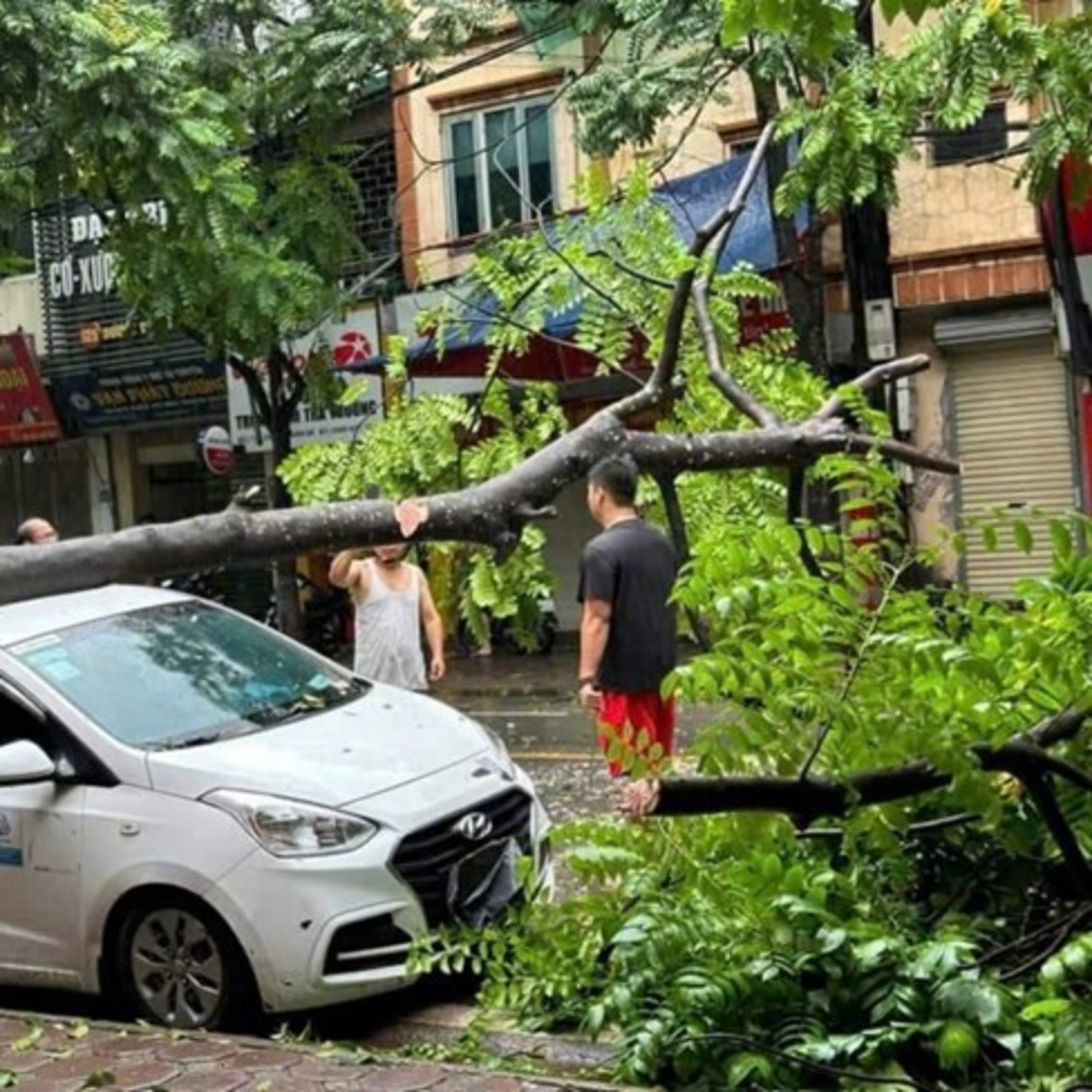 Pháp luật đời sồng - Ô tô, xe máy bị hư hỏng, thiệt hại do bão, lũ có được bồi thường bảo hiểm? episode artwork