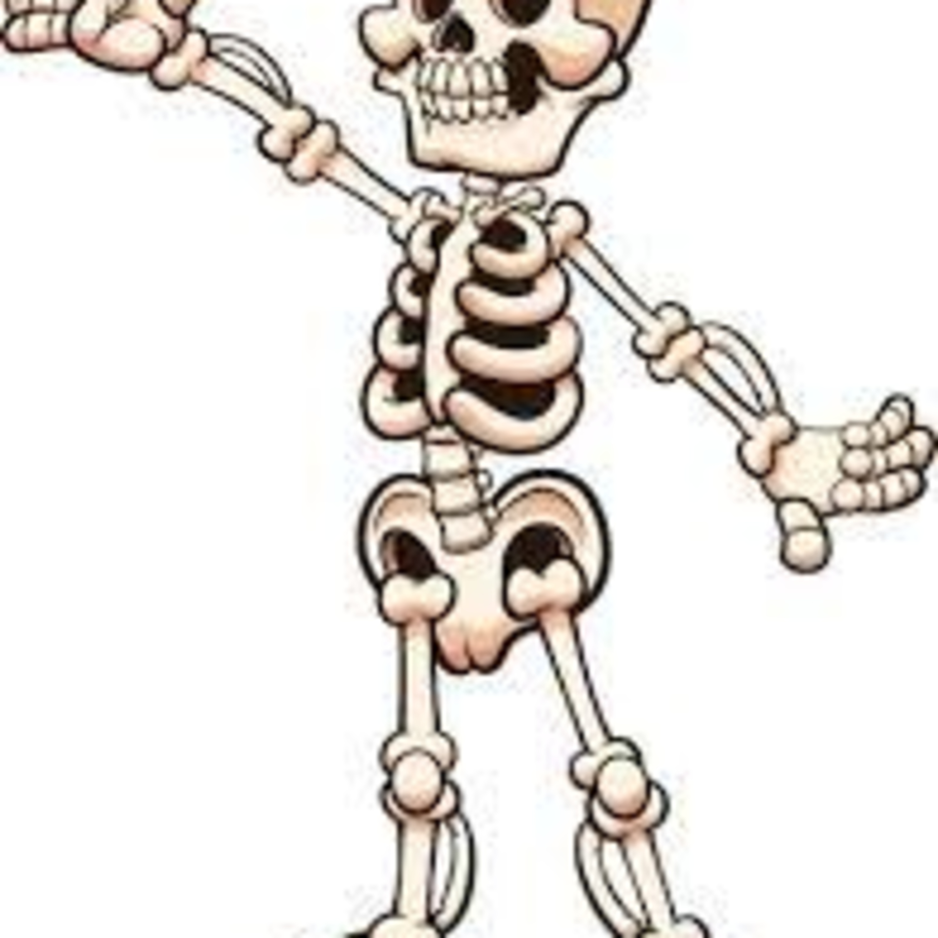 Your Amazing Body - The Skeleton episode artwork