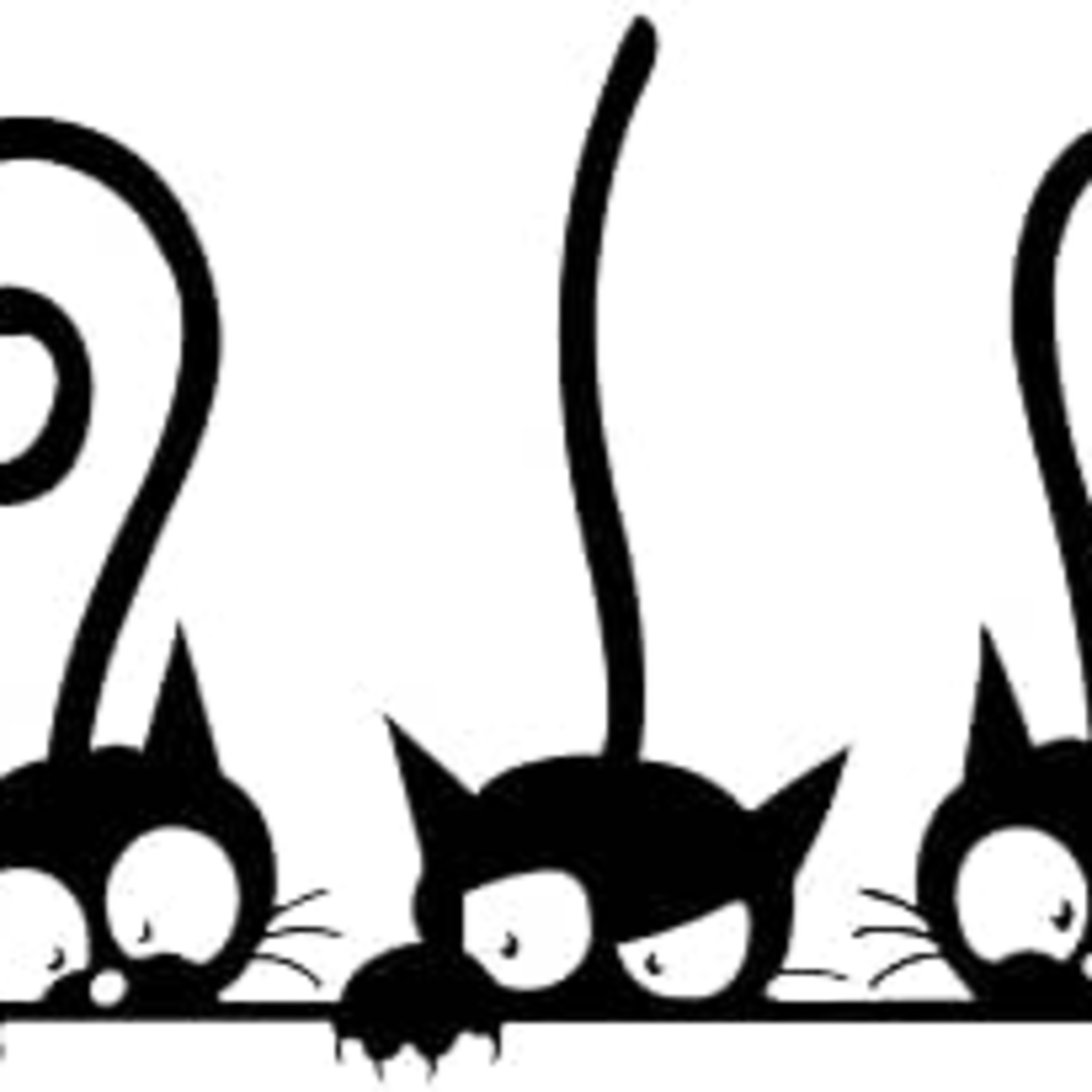 The "Spooky" Black Cat With Professor Proissant episode artwork