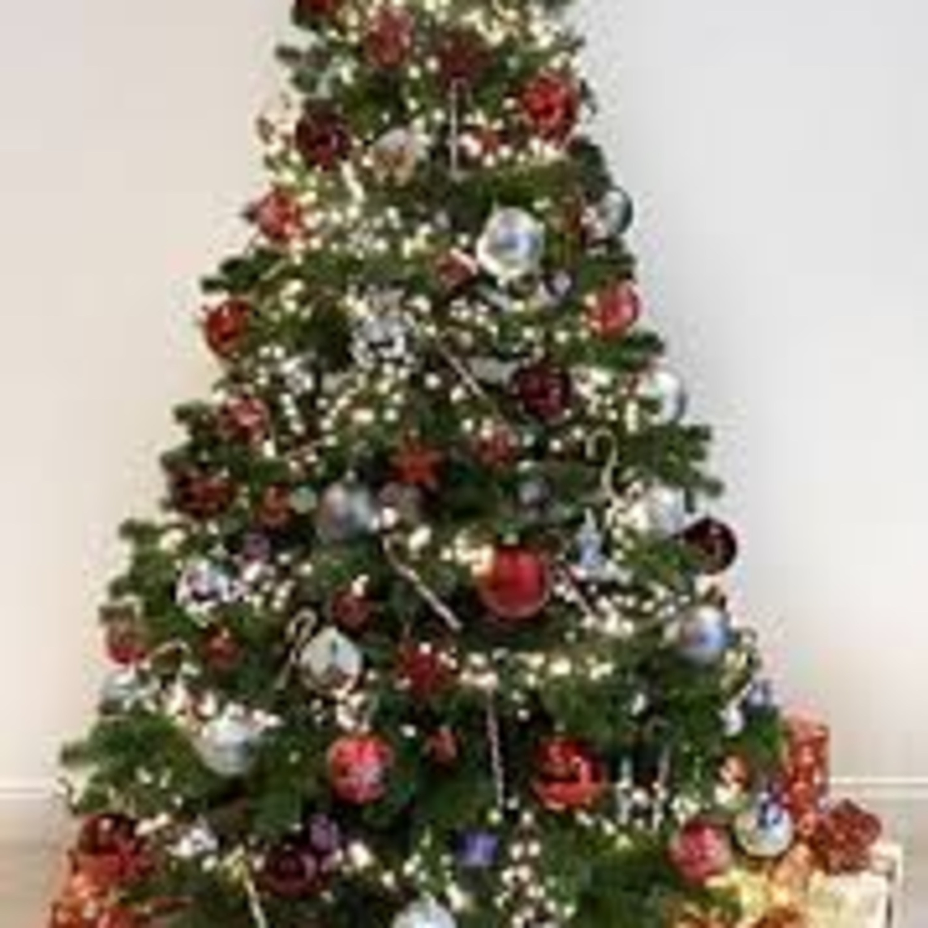 Oh Christmas Tree - Fun Facts! episode artwork