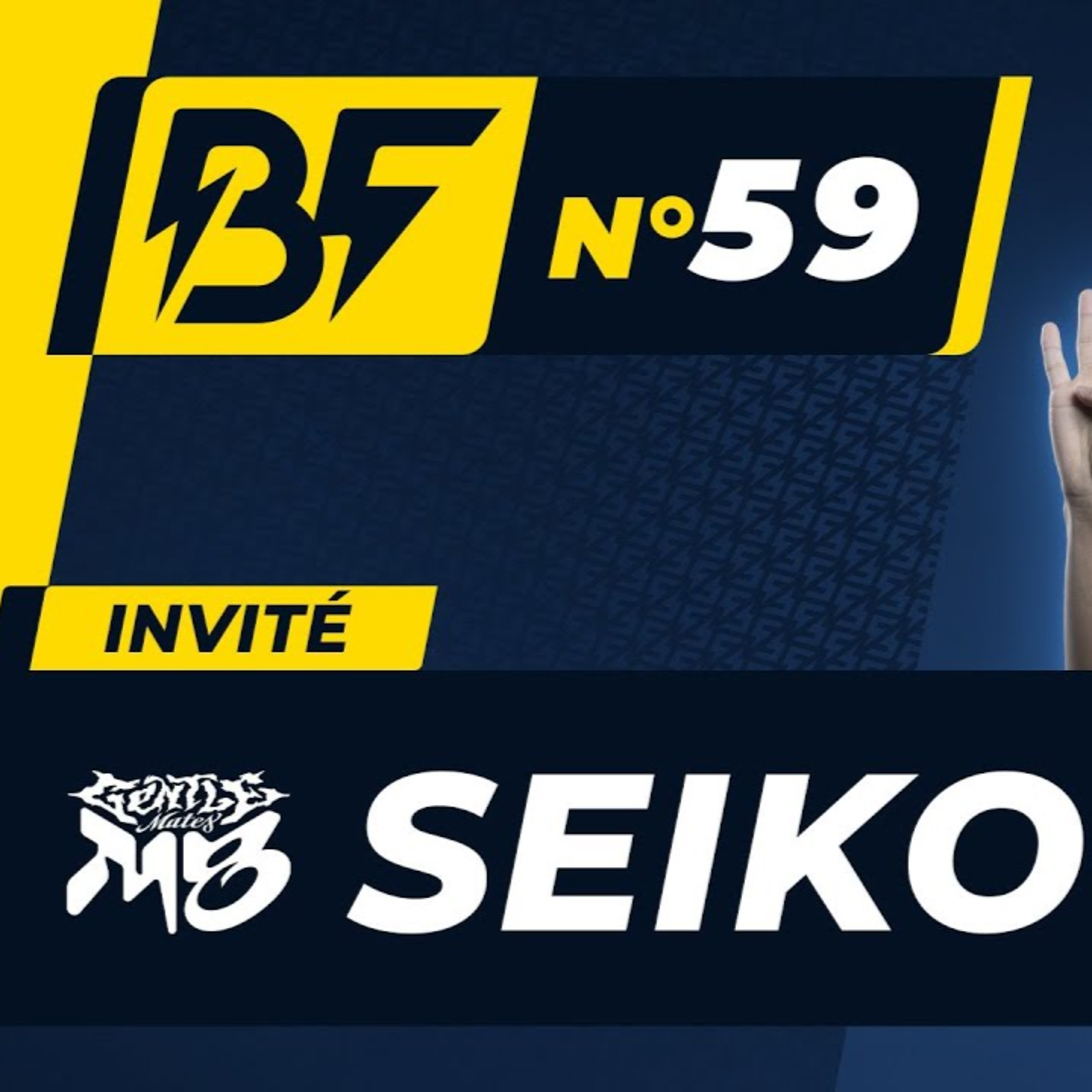 Baguette Flash %2359 avec M8 SEIKOO