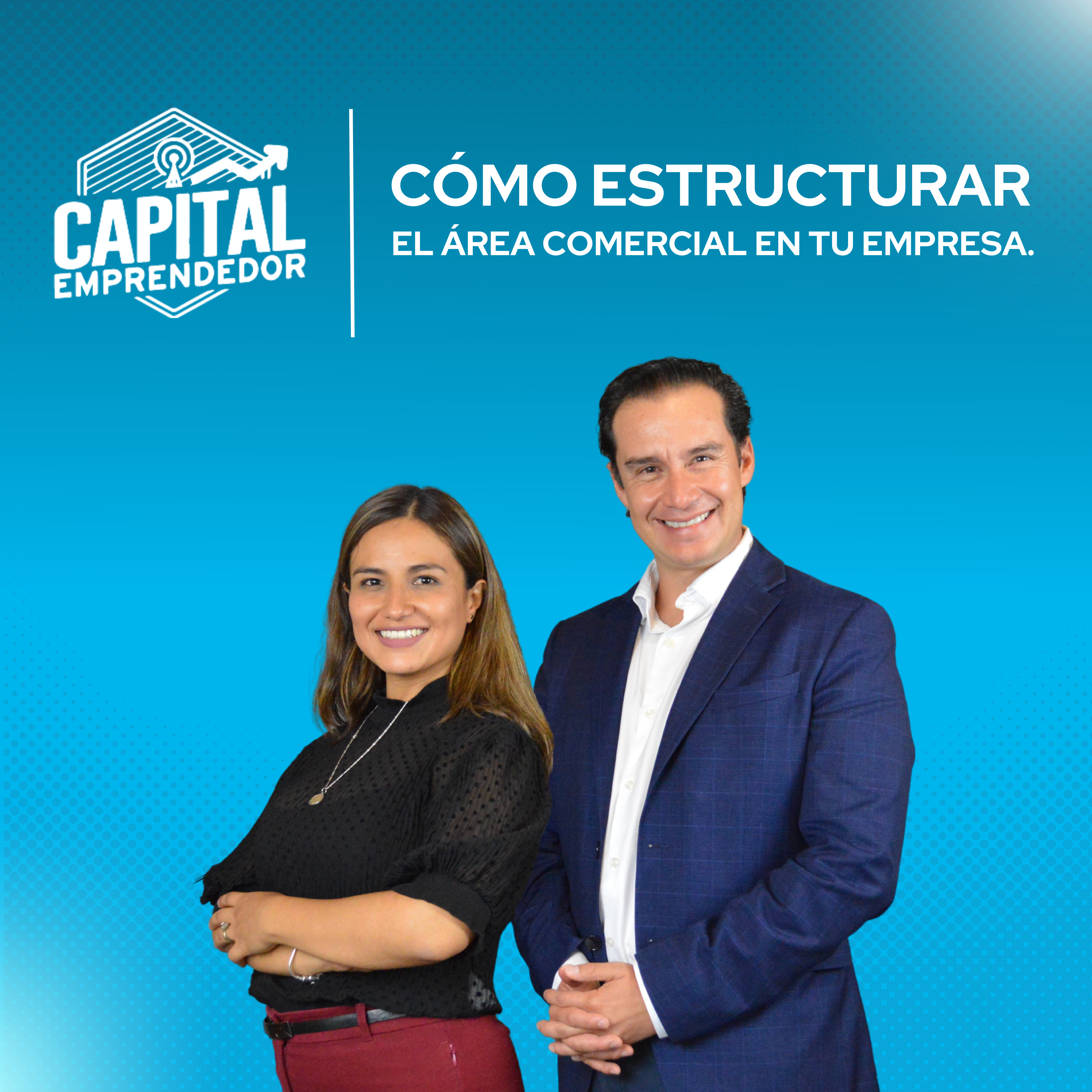 Cómo estructurar el área comercial en tu empresa. episode artwork