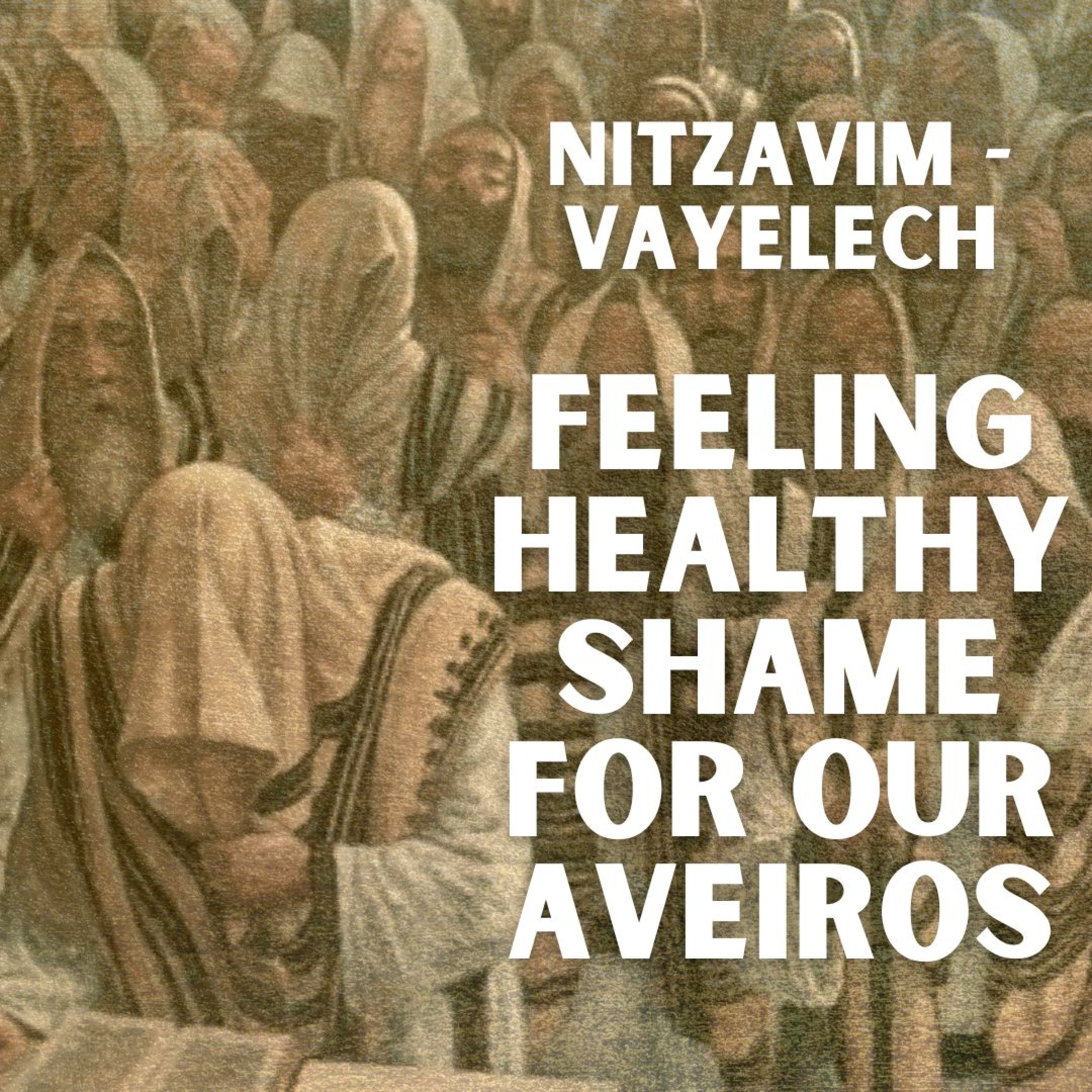 Nitzavim - Feeling Healthy Shame For Our Aveiros episode artwork