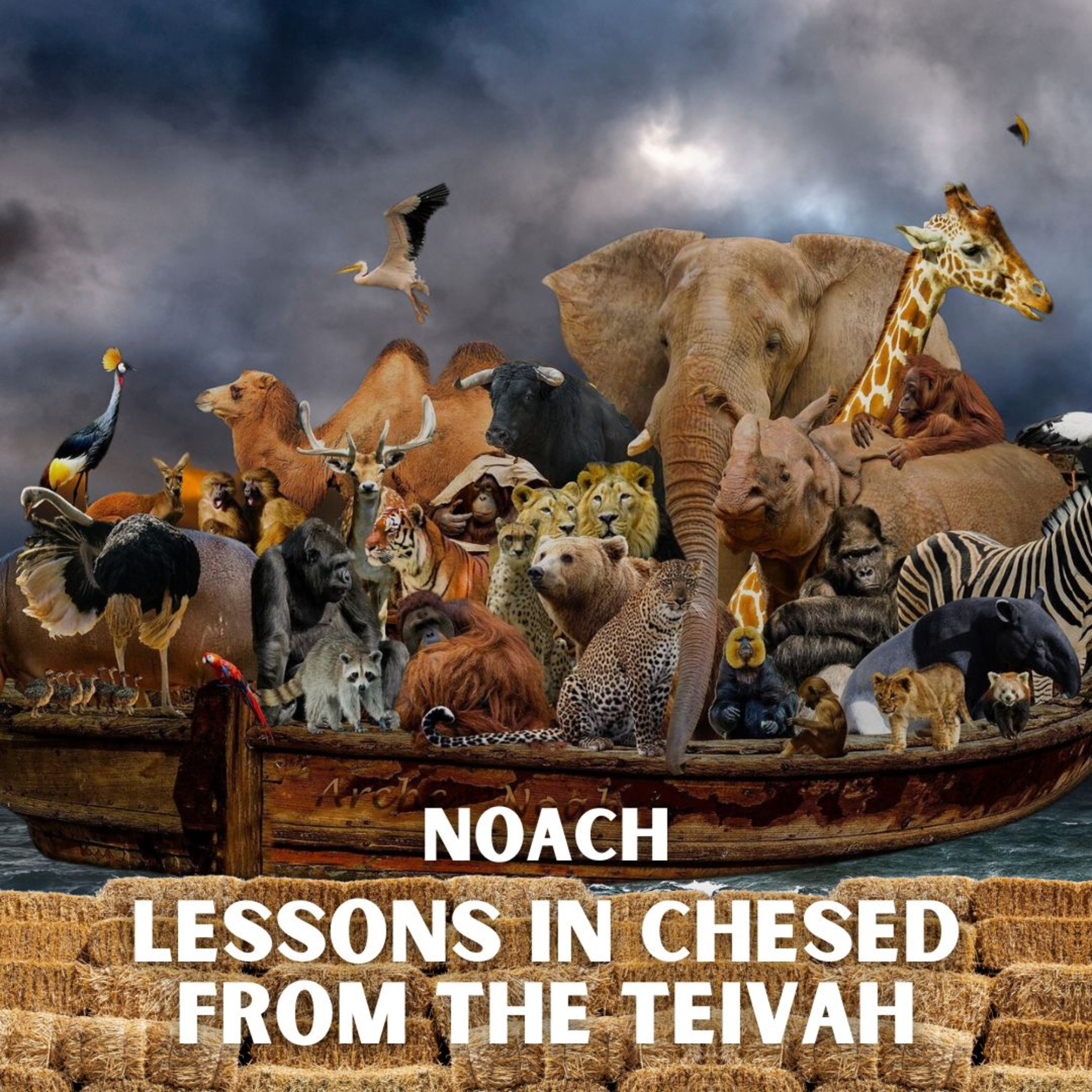 Meaningful Ideas on the Parsha