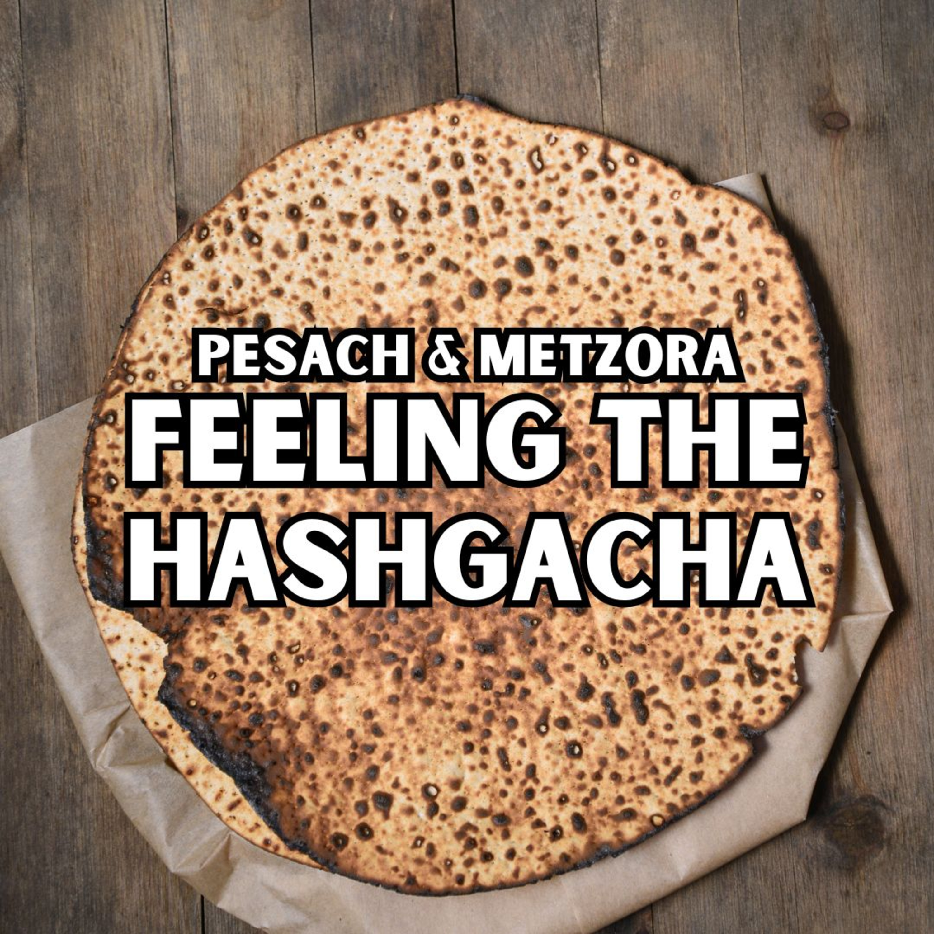 Pesach and Metzora - Feeling the Hashgacha episode artwork