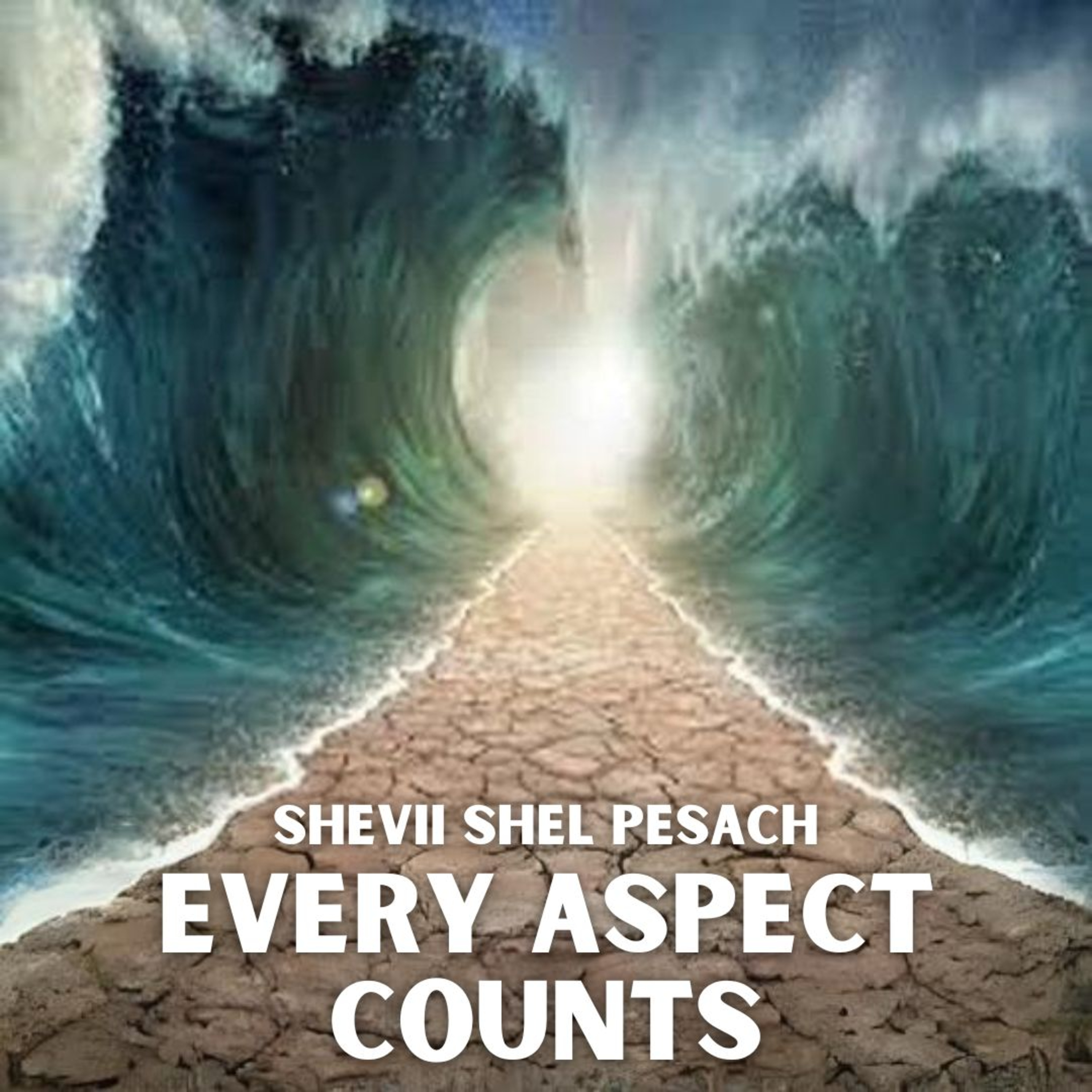 cover of episode Shevii Shel Pesach - Every Aspect Counts