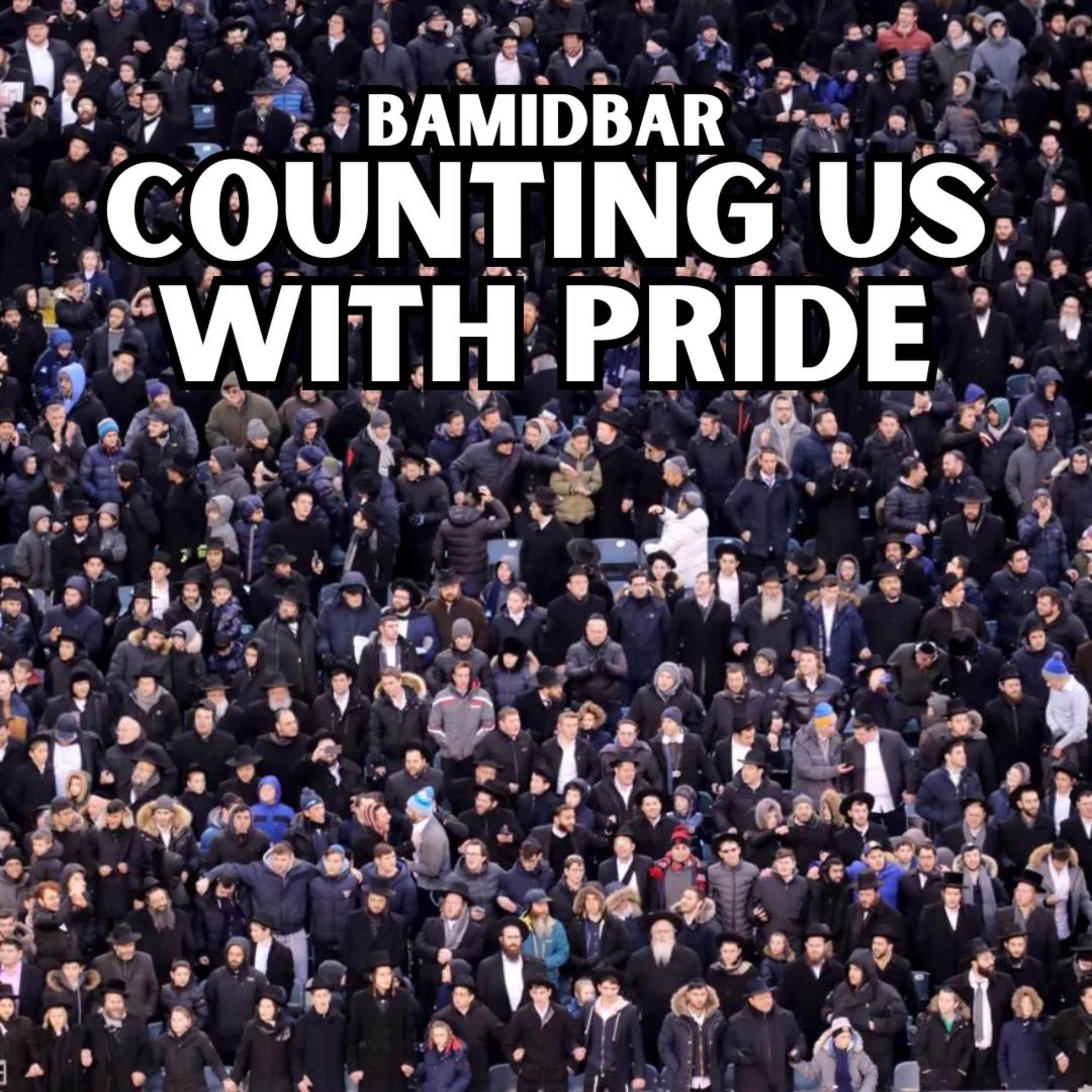 cover of episode Bamidbar - Counting Us With Pride