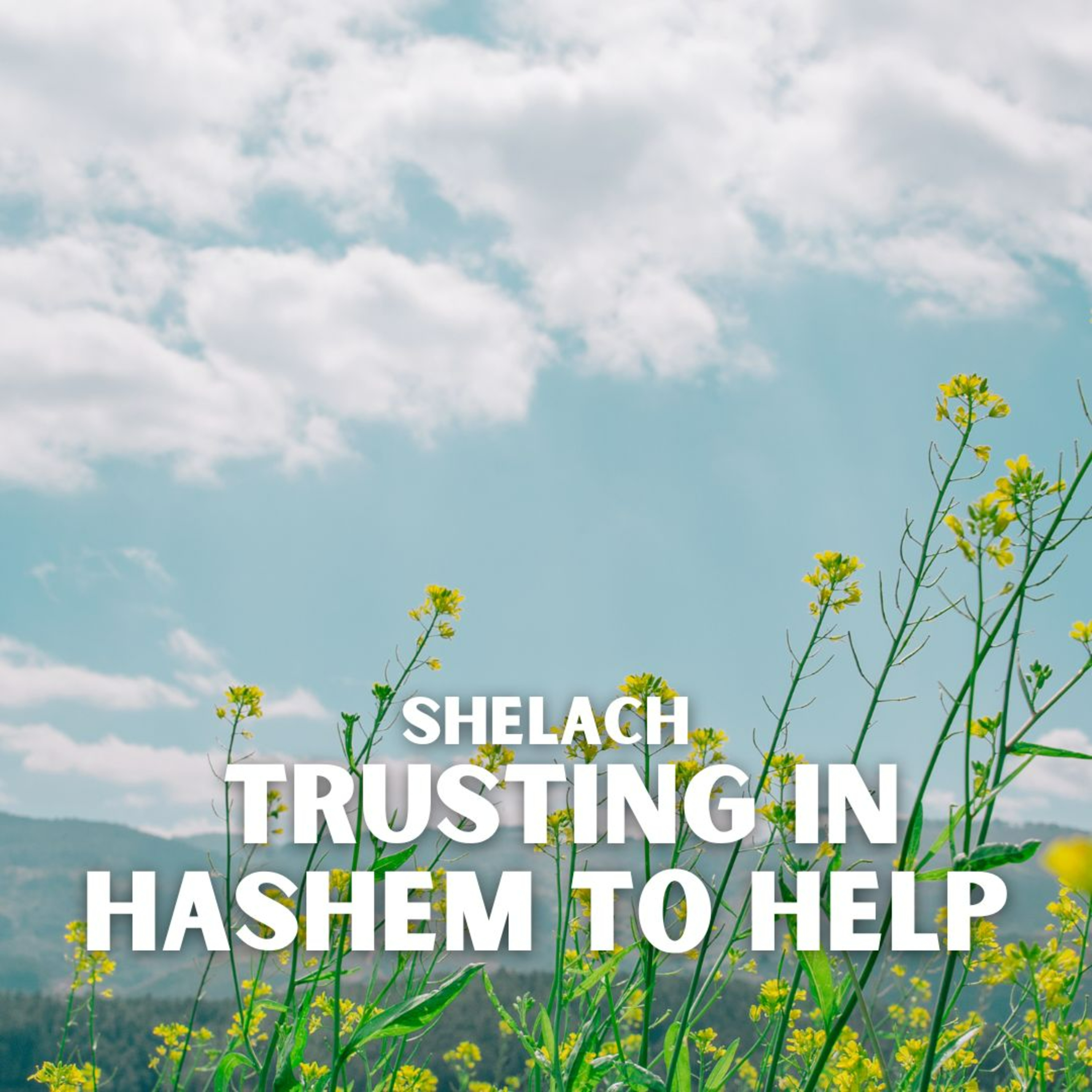 cover of episode Shelach - Trusting In Hashem To Help