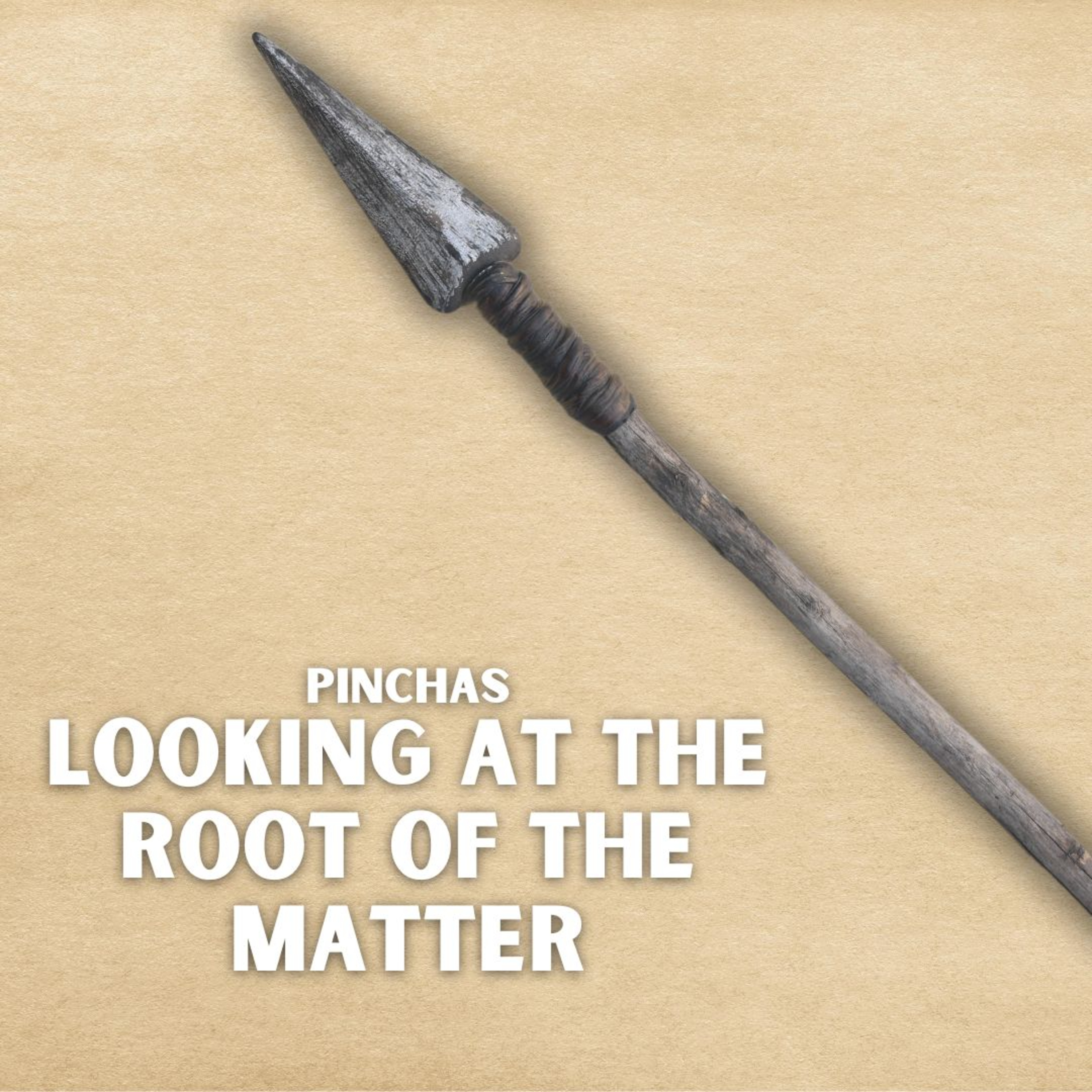 cover of episode Pinchas - Looking At The Root Of The Matter