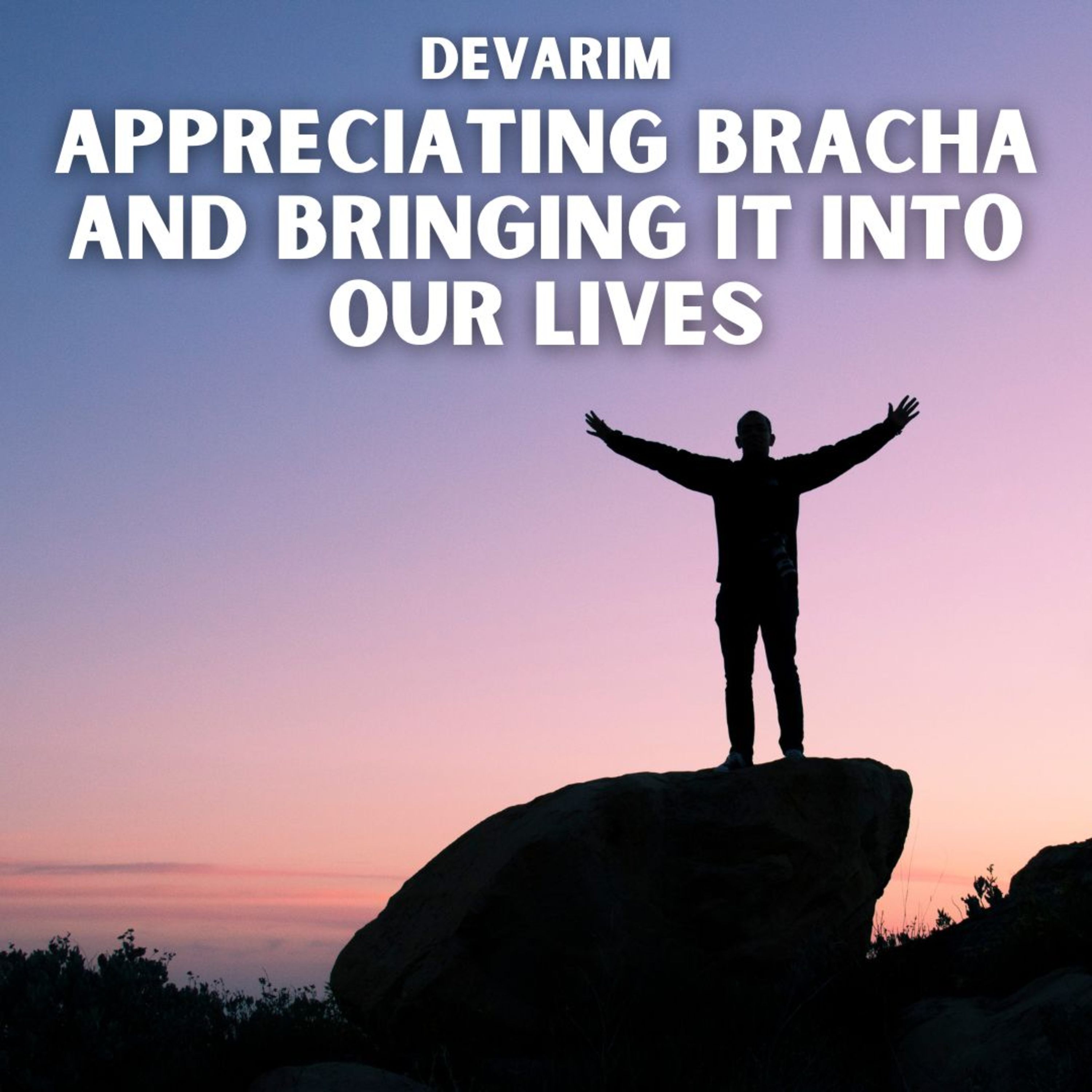 cover of episode Devarim - Appreciating Bracha and Bringing It Into Our Lives