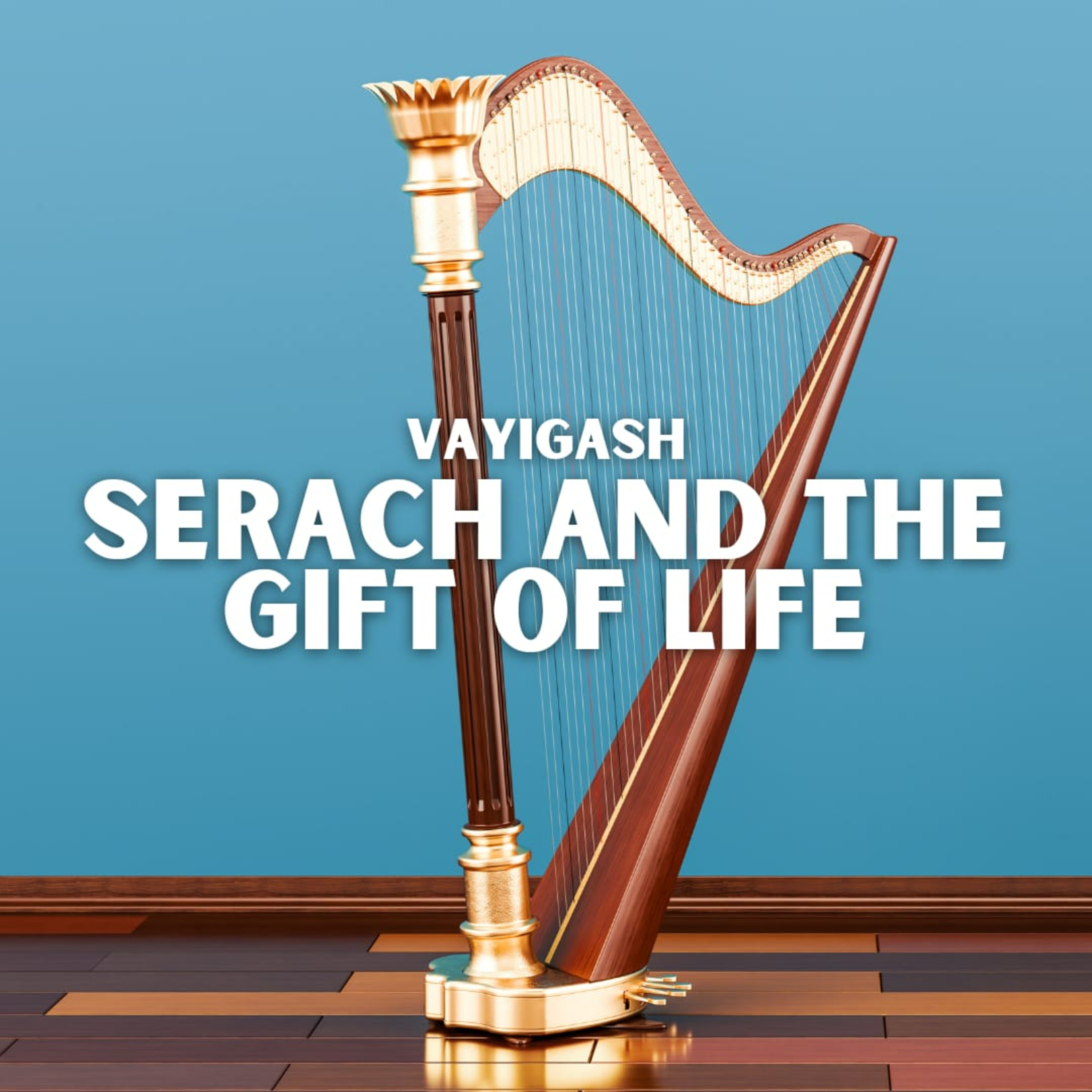 Meaningful Ideas on the Parsha