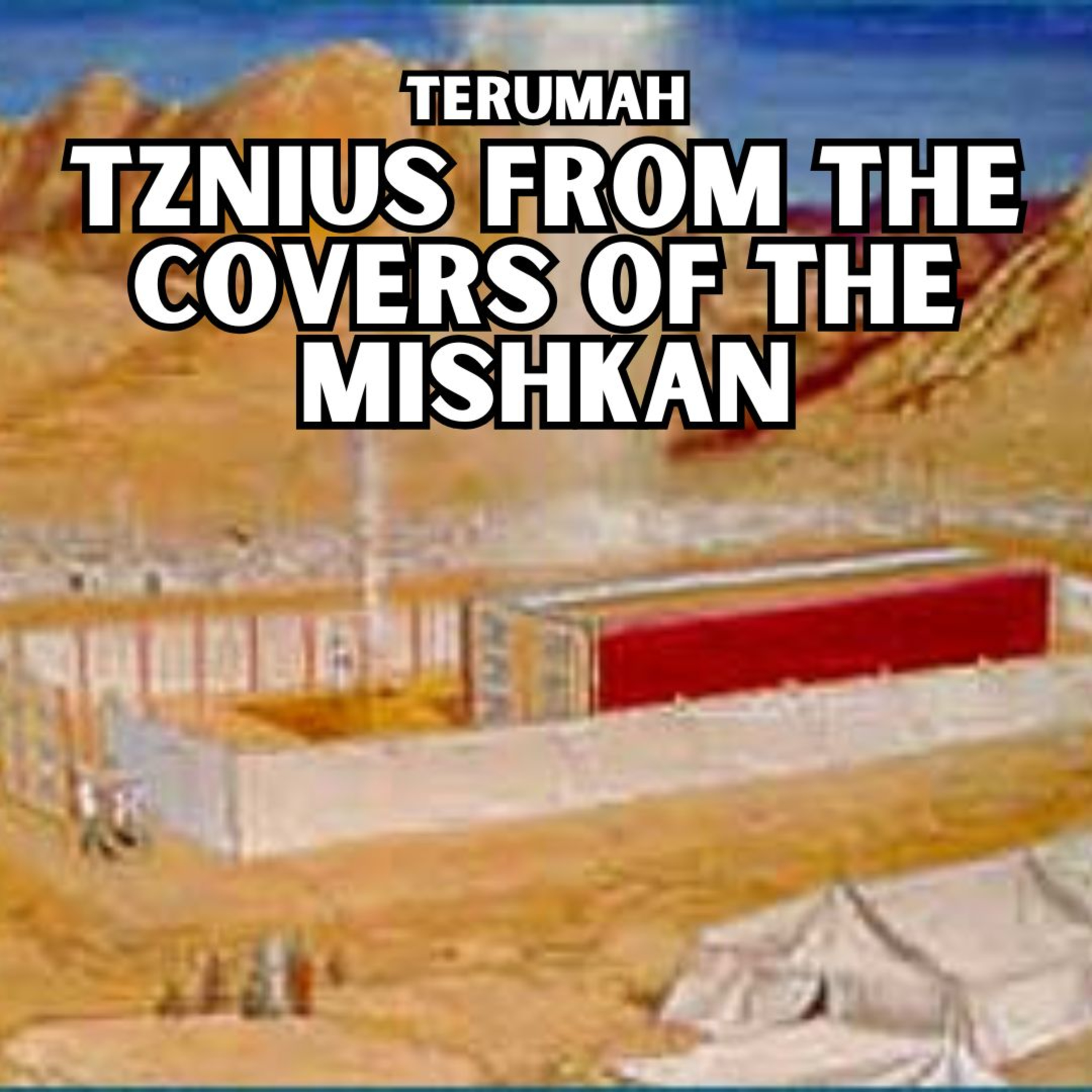 Meaningful Ideas on the Parsha