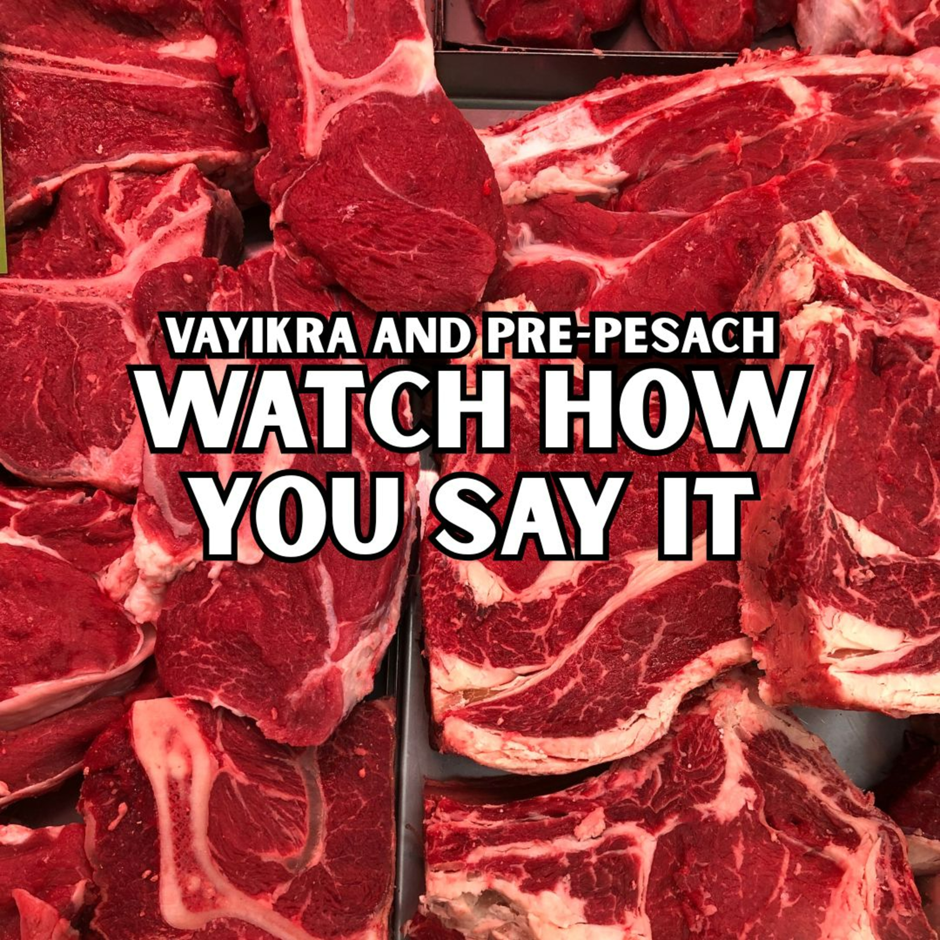 cover of episode Vayikra and Pre-Pesach - Watch How You Say It