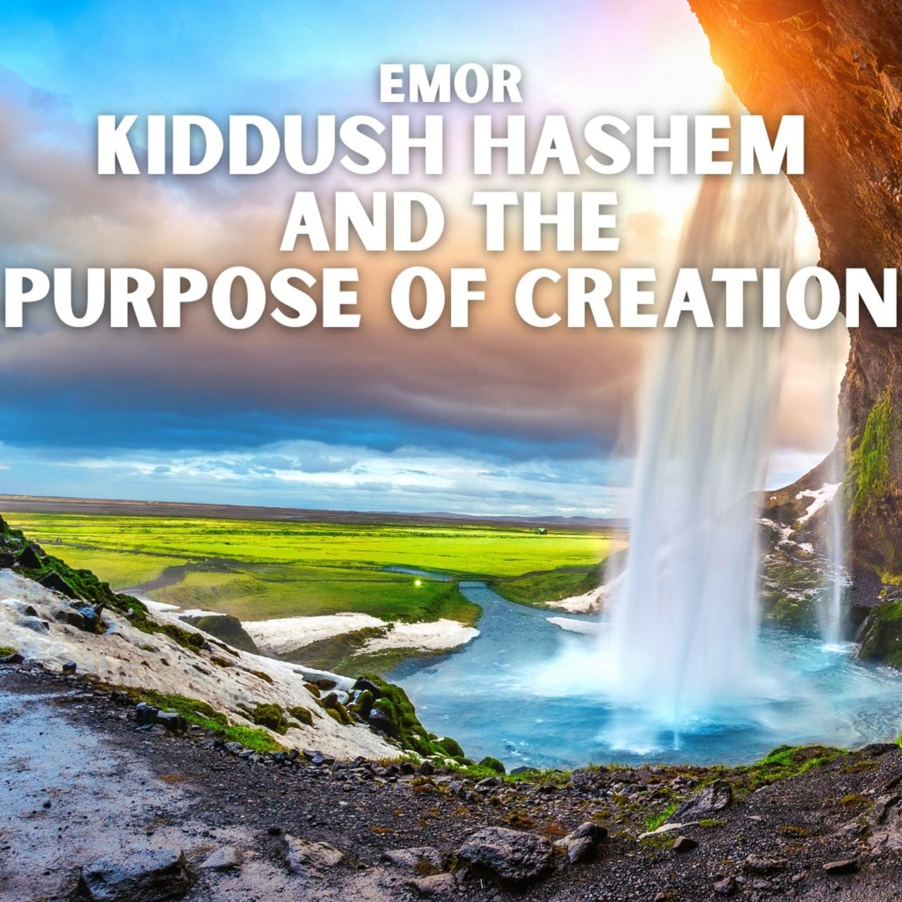 Meaningful Ideas on the Parsha