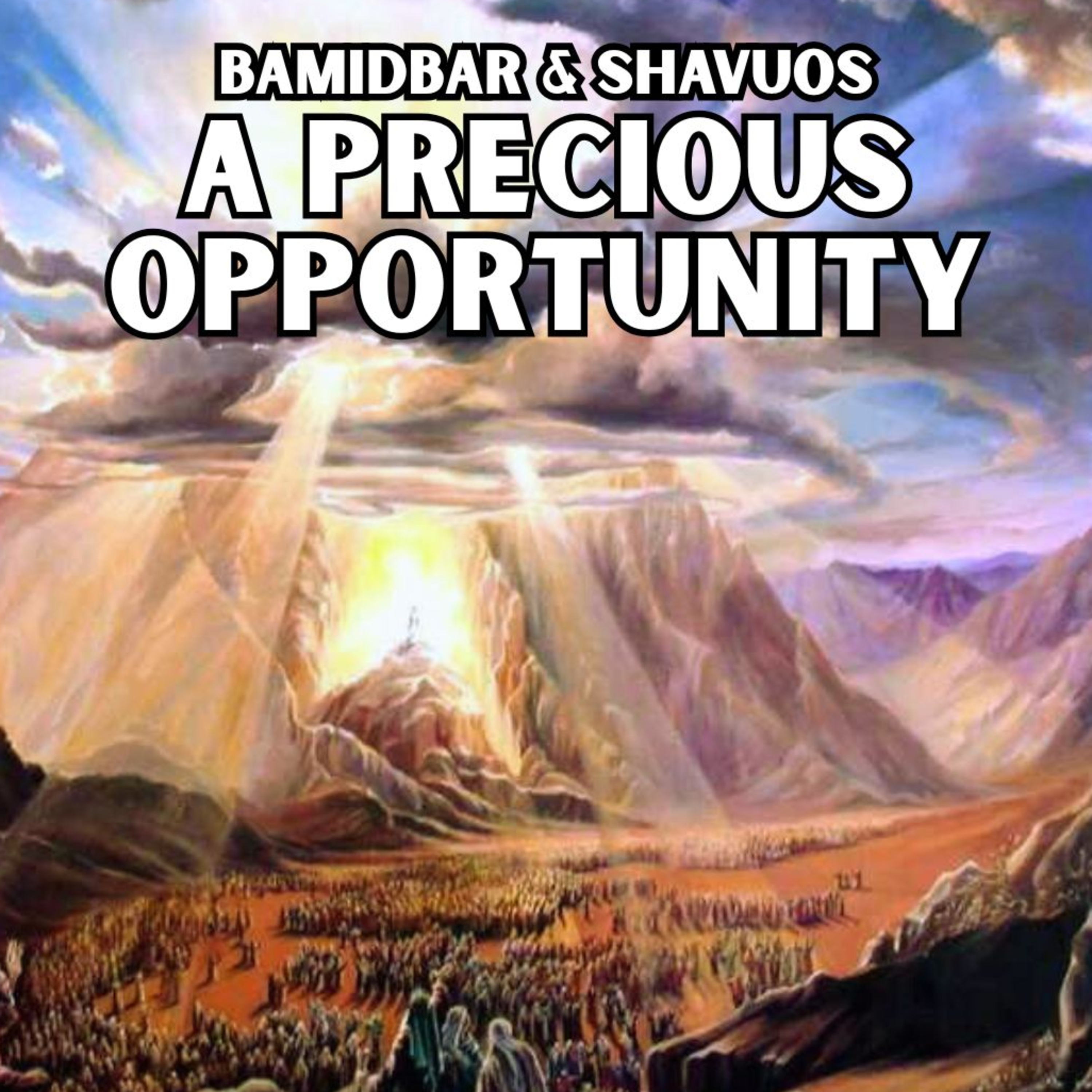 cover of episode Bamidbar & Shavuos - A Precious Opportunity