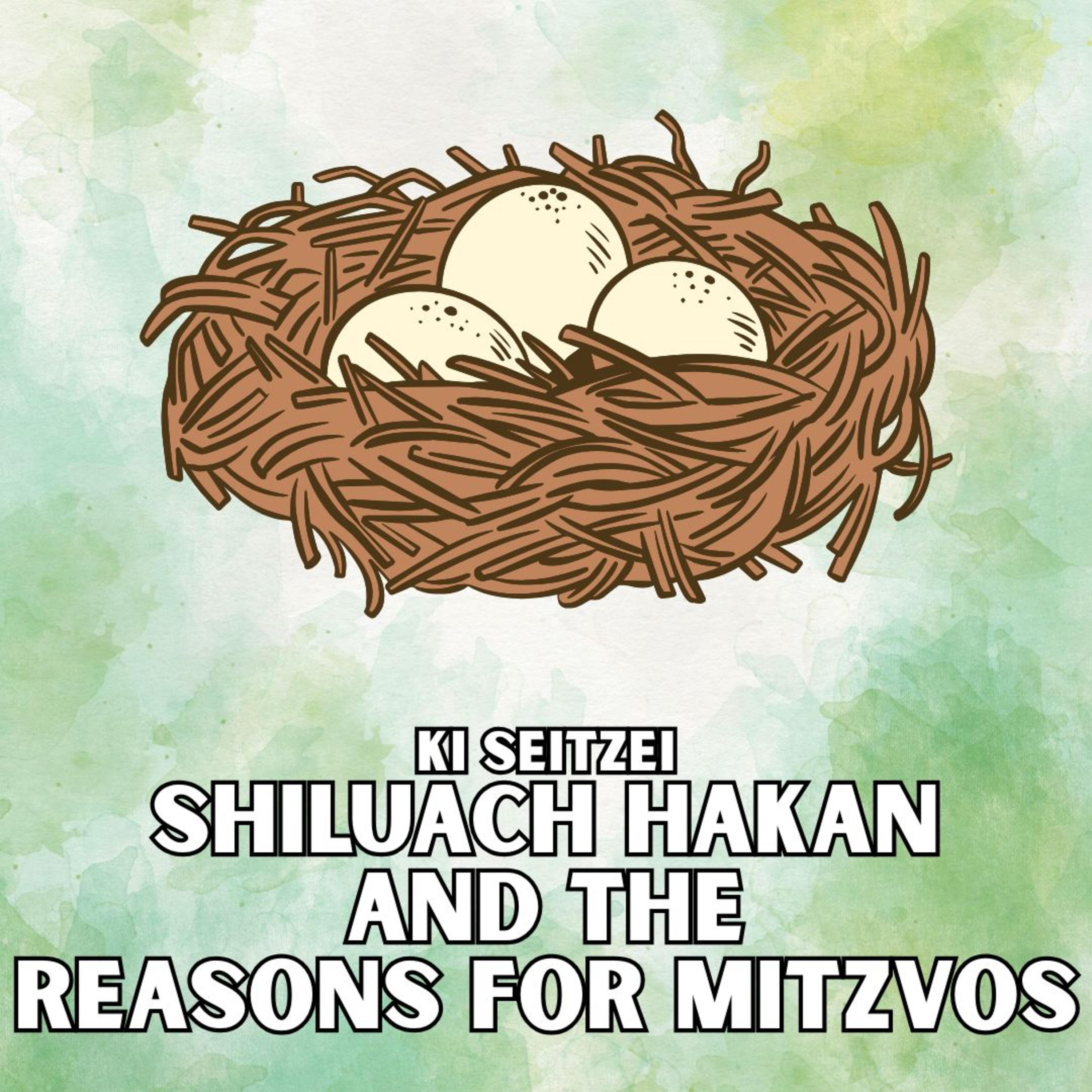 Meaningful Ideas on the Parsha