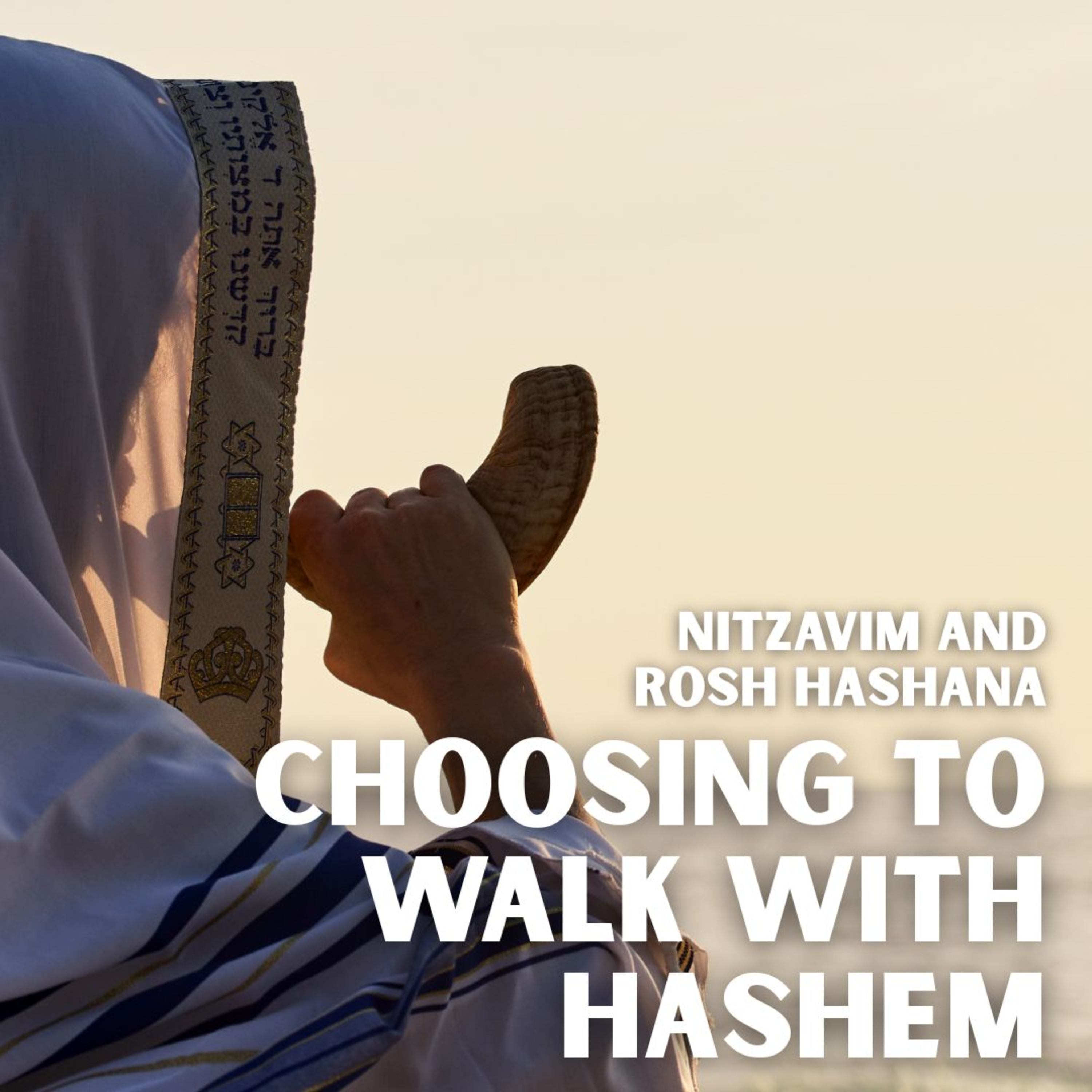 Nitzavim and Rosh Hashana - Choosing To Walk With Hashem episode artwork