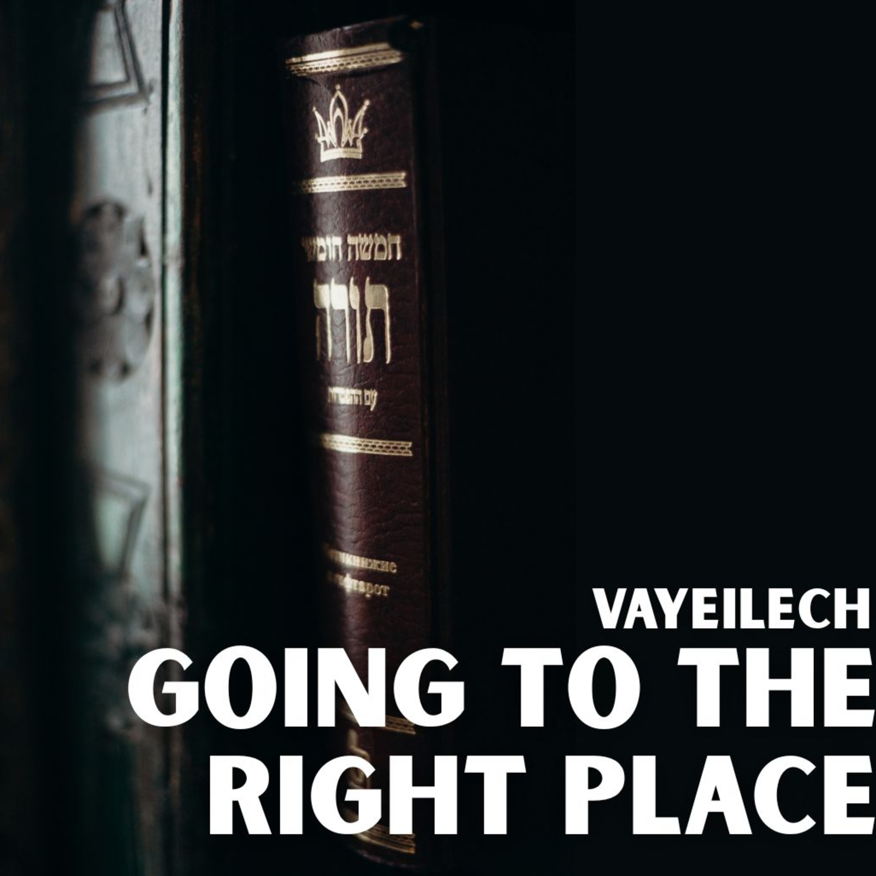 Vayeilech - Going To The Right Place episode artwork