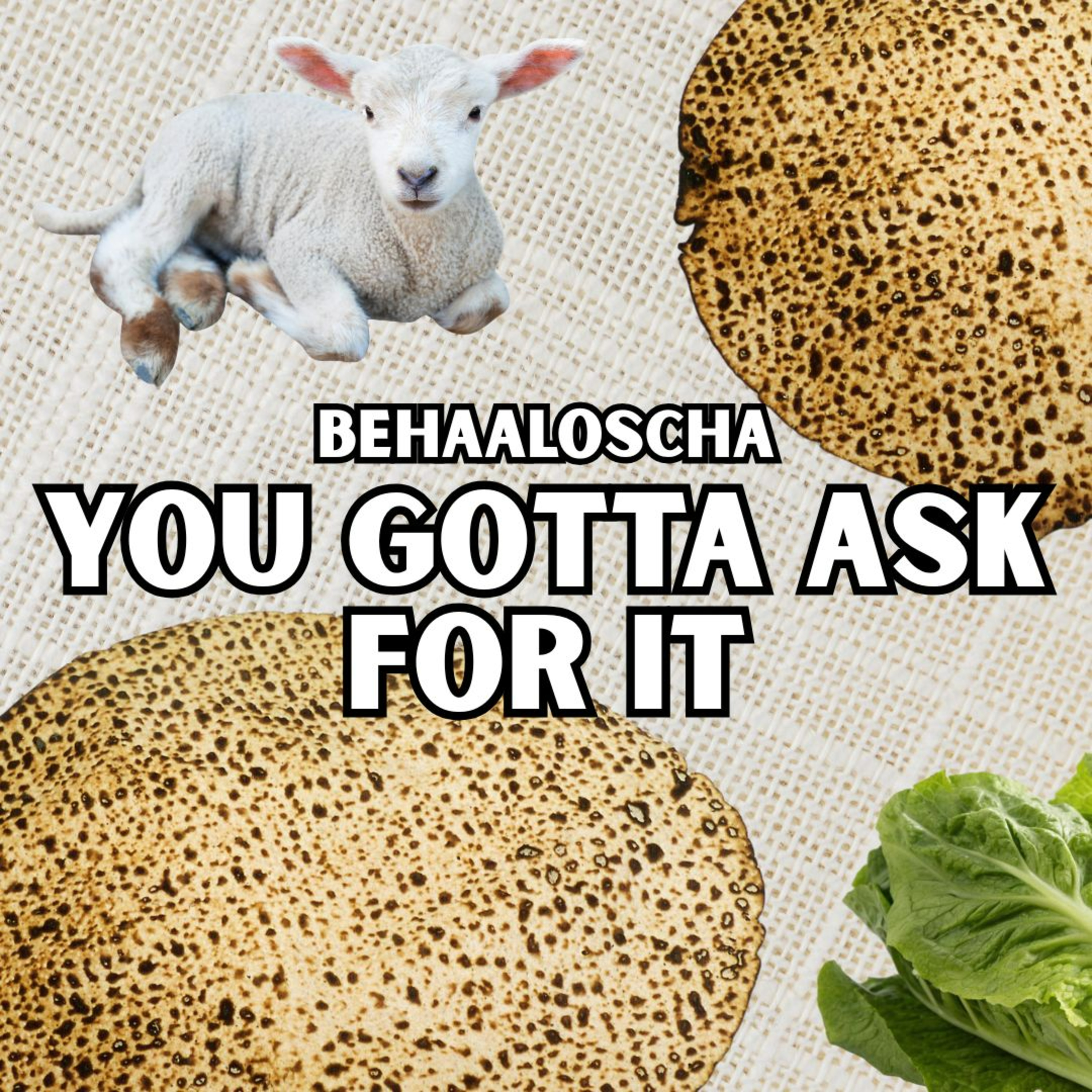 Behaaloscha - You Gotta Ask For It episode artwork