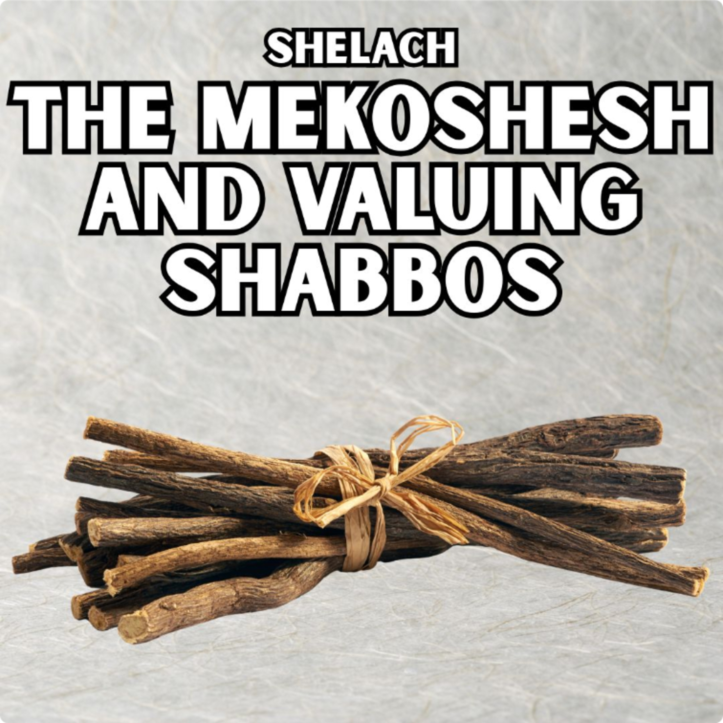 Shelach - The Mekoshesh and Valuing Shabbos episode artwork
