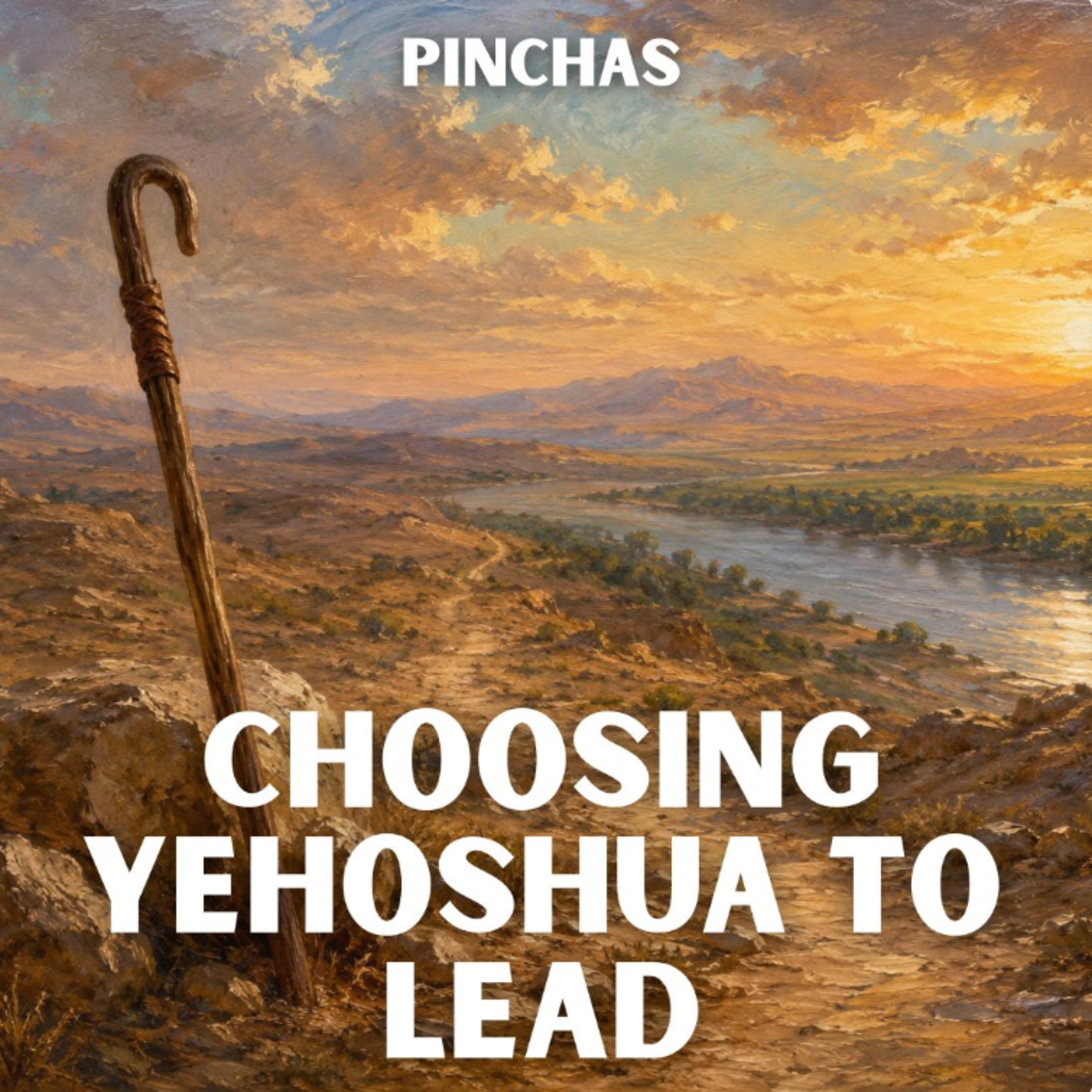 Pinchas - Choosing Yehoshua To Lead episode artwork
