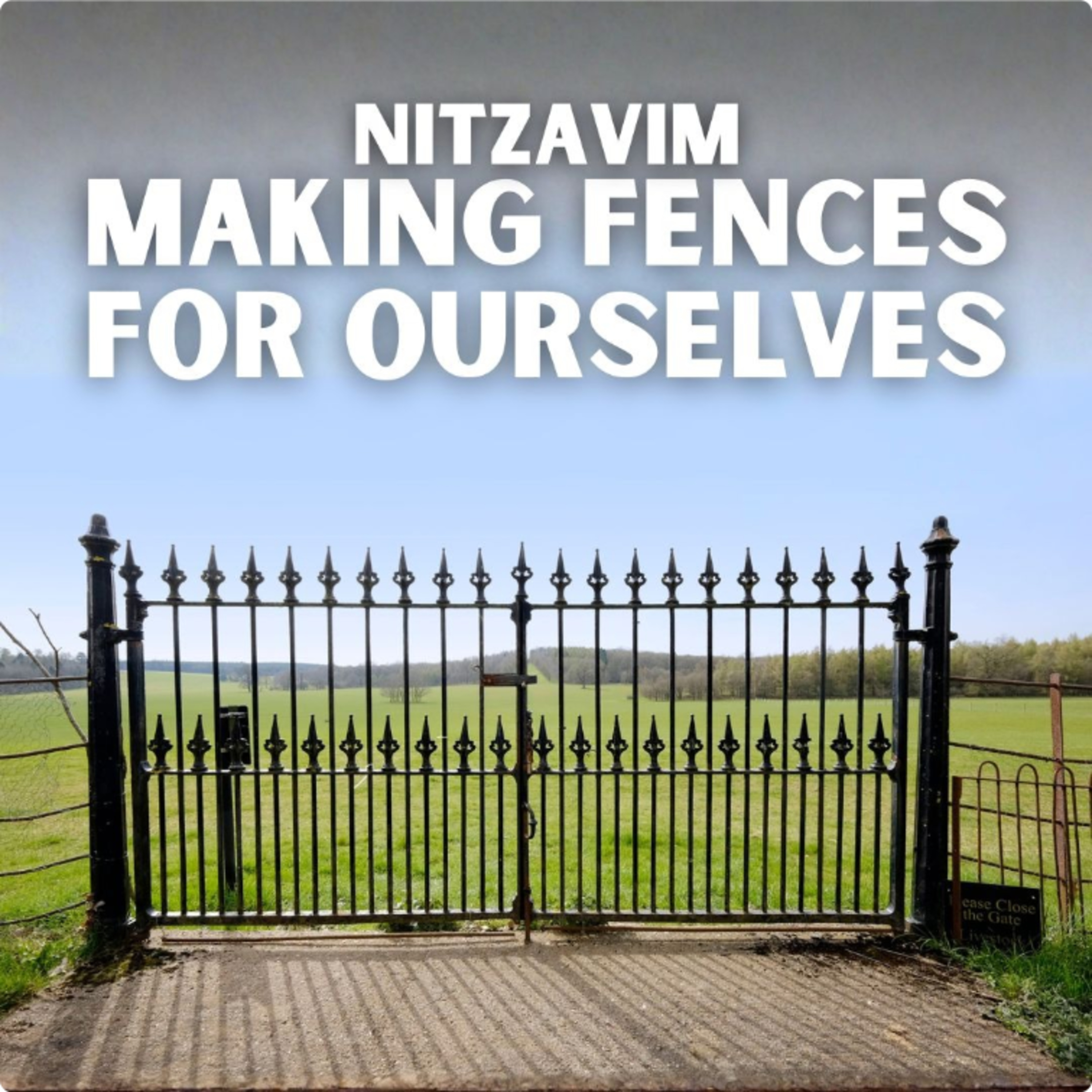 Nitzavim - Making Fences For Ourselves episode artwork