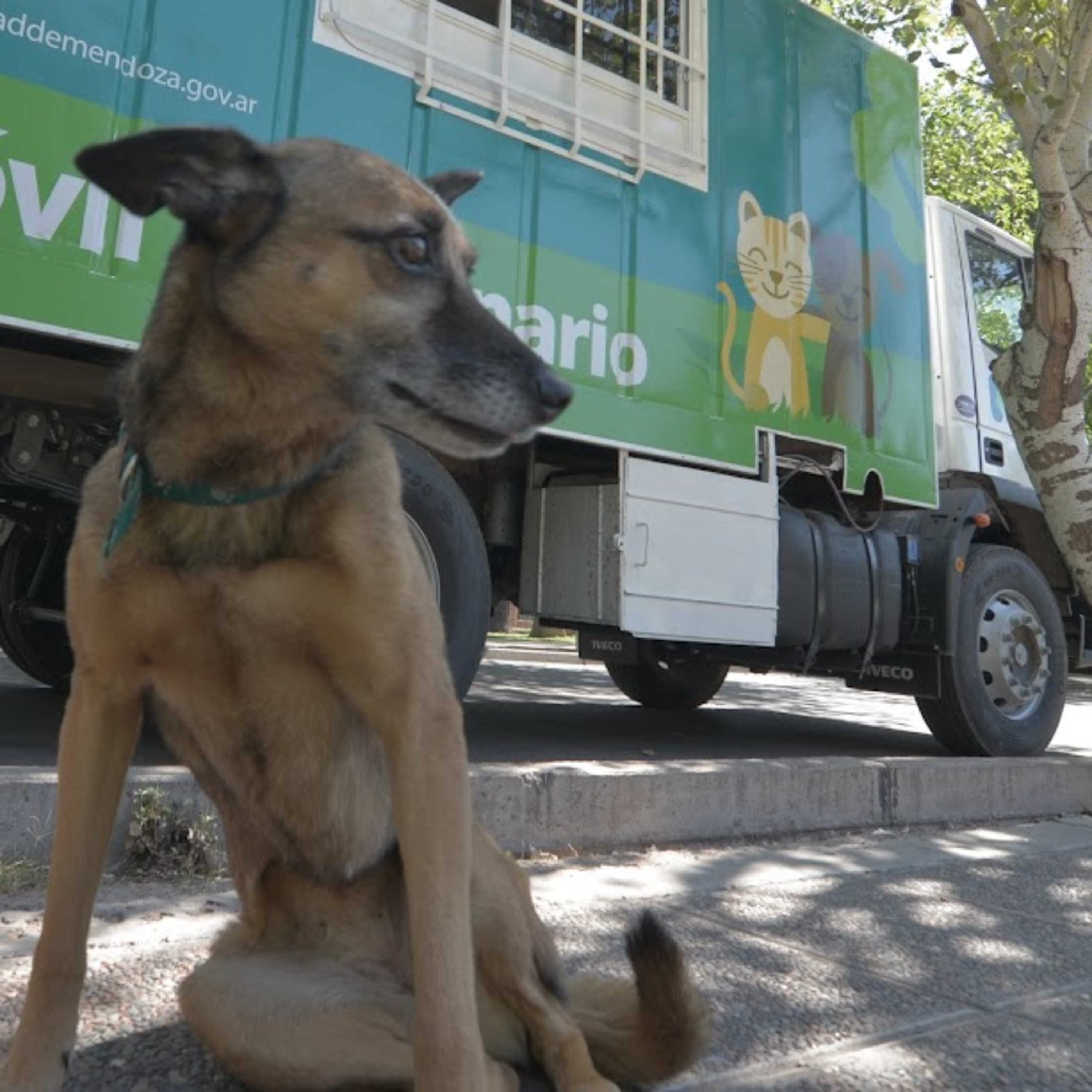 Ciudad de Mendoza busca profesionales para sostener la salud comunitaria en los centros municipales