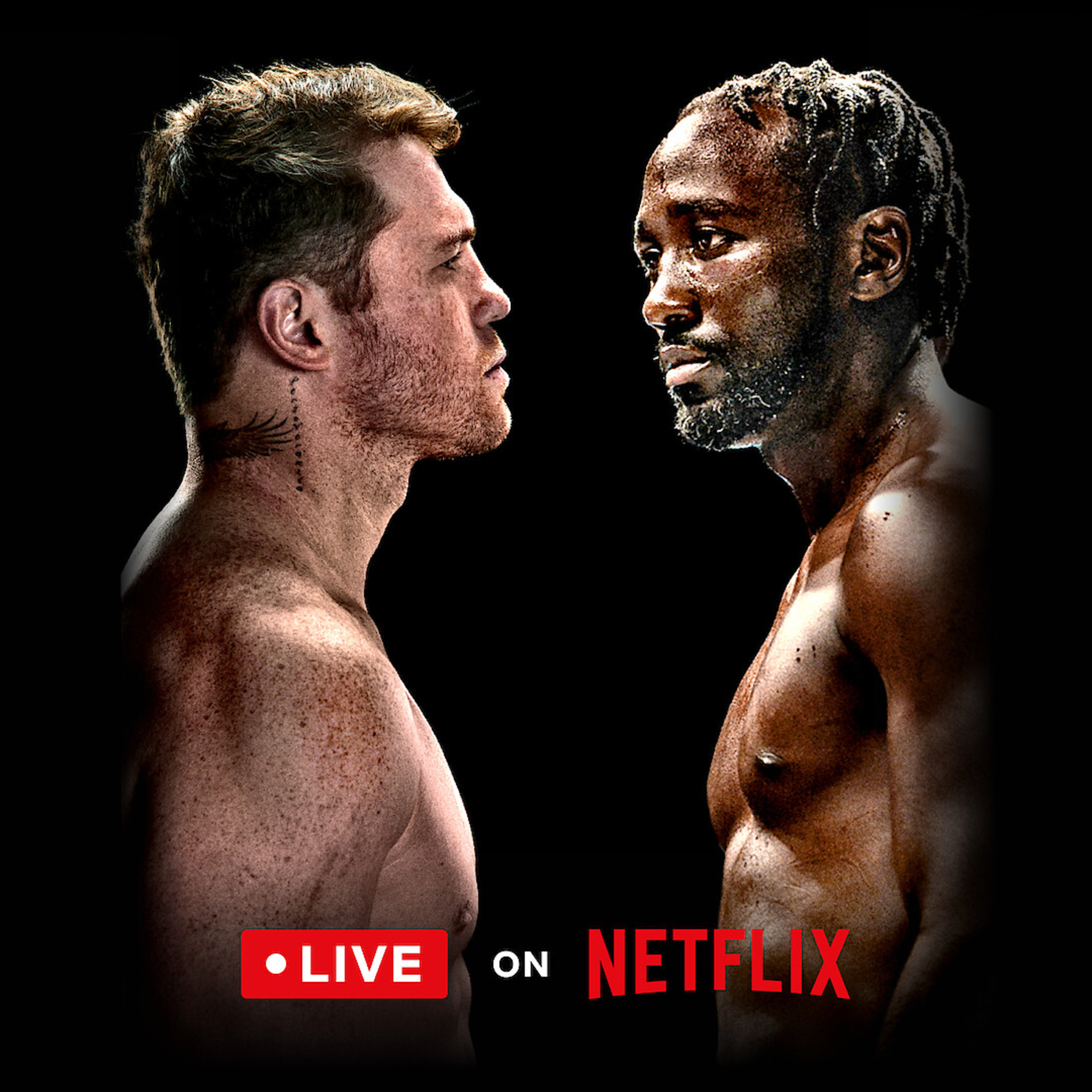 cover of episode The Fight