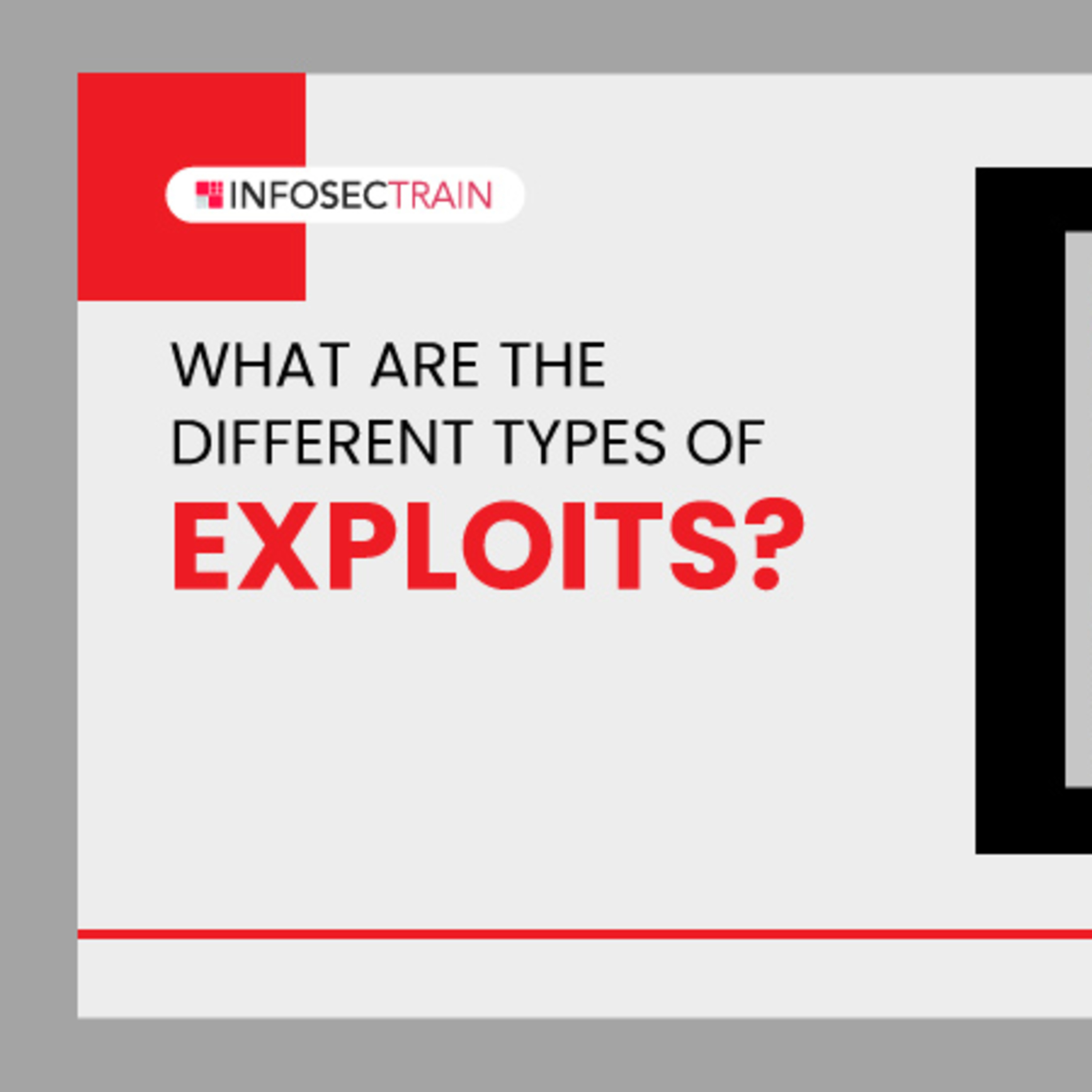 What are the Different Types of Exploits?