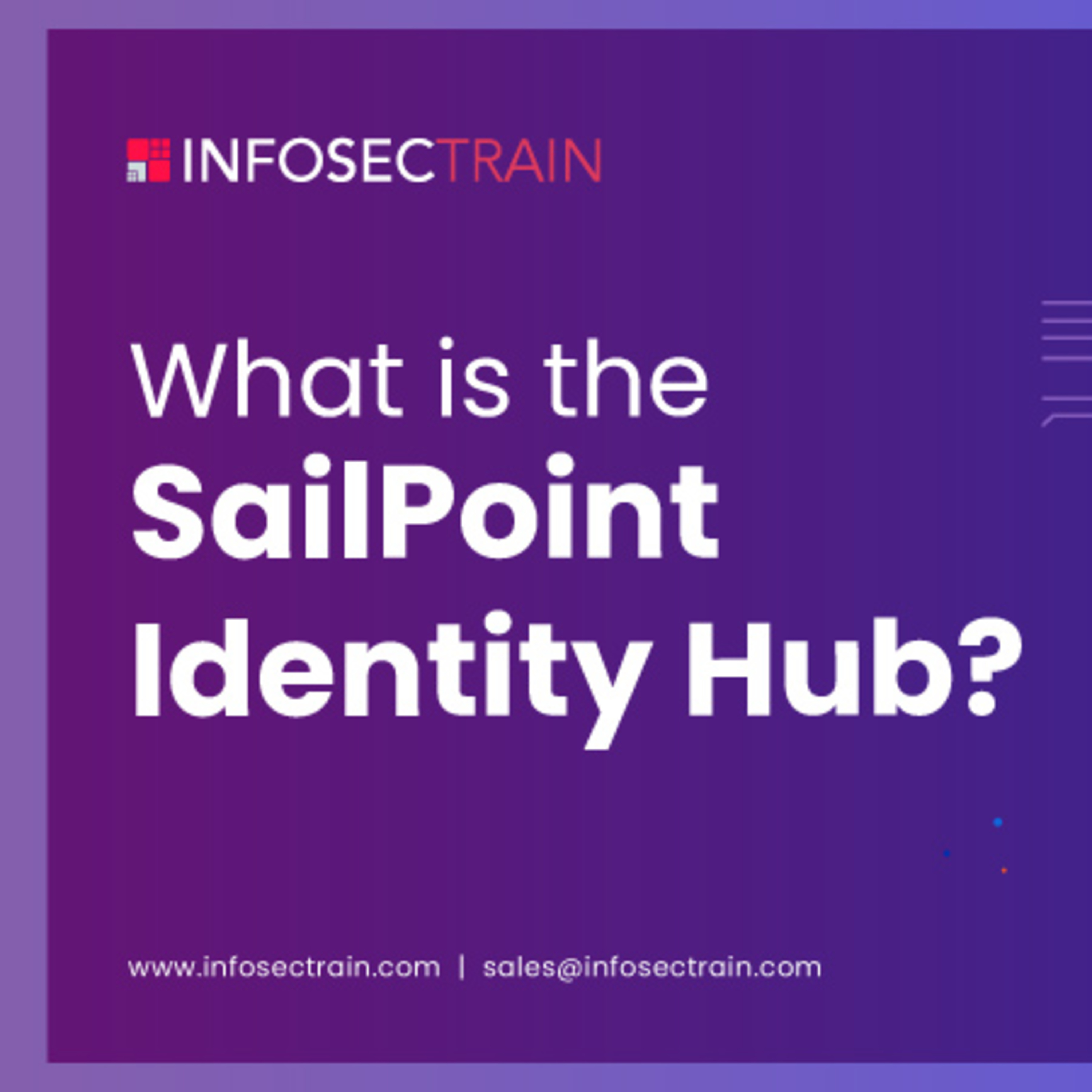 What is the SailPoint Identity Hub?