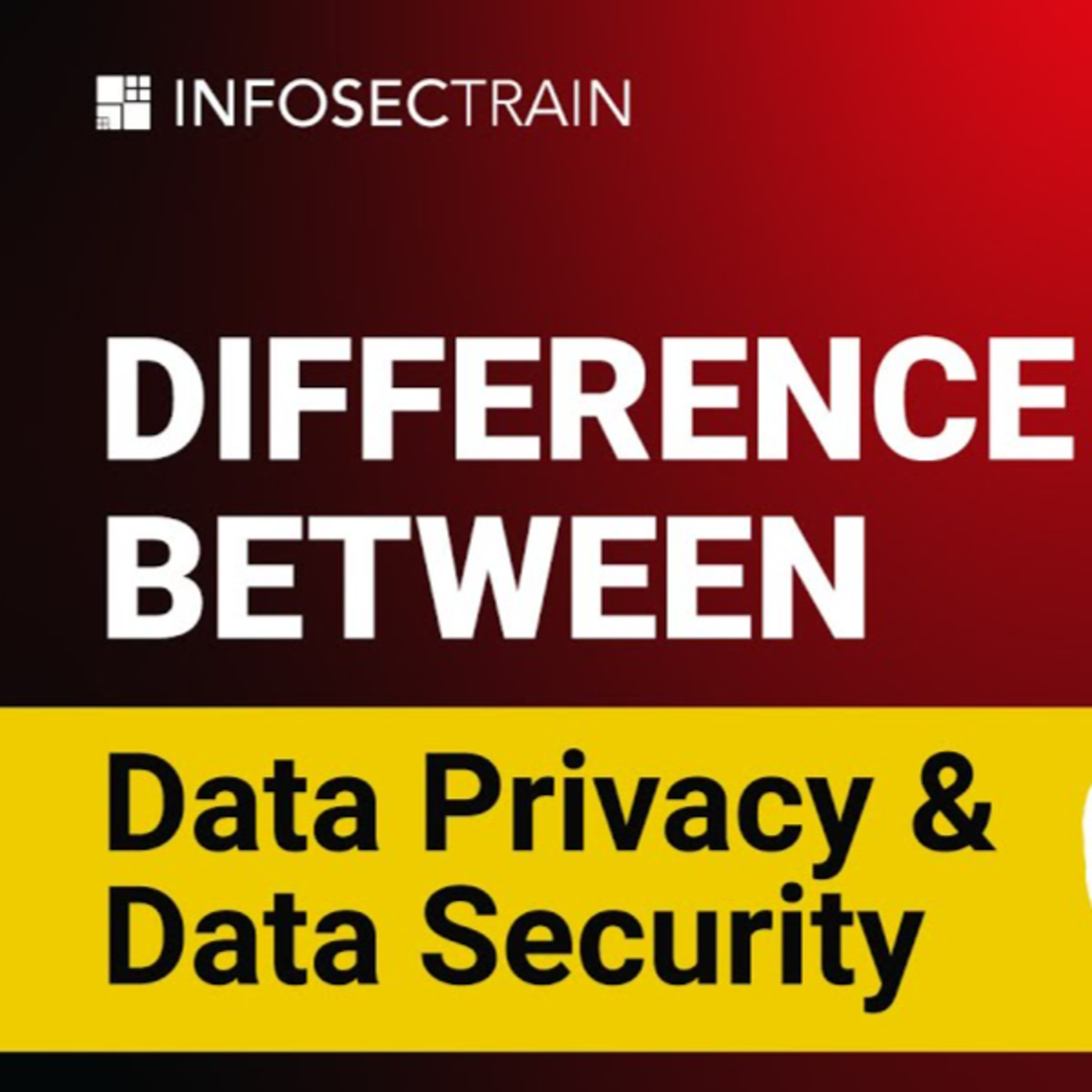 Data Privacy vs. Data Security: Essential Differences for 2024