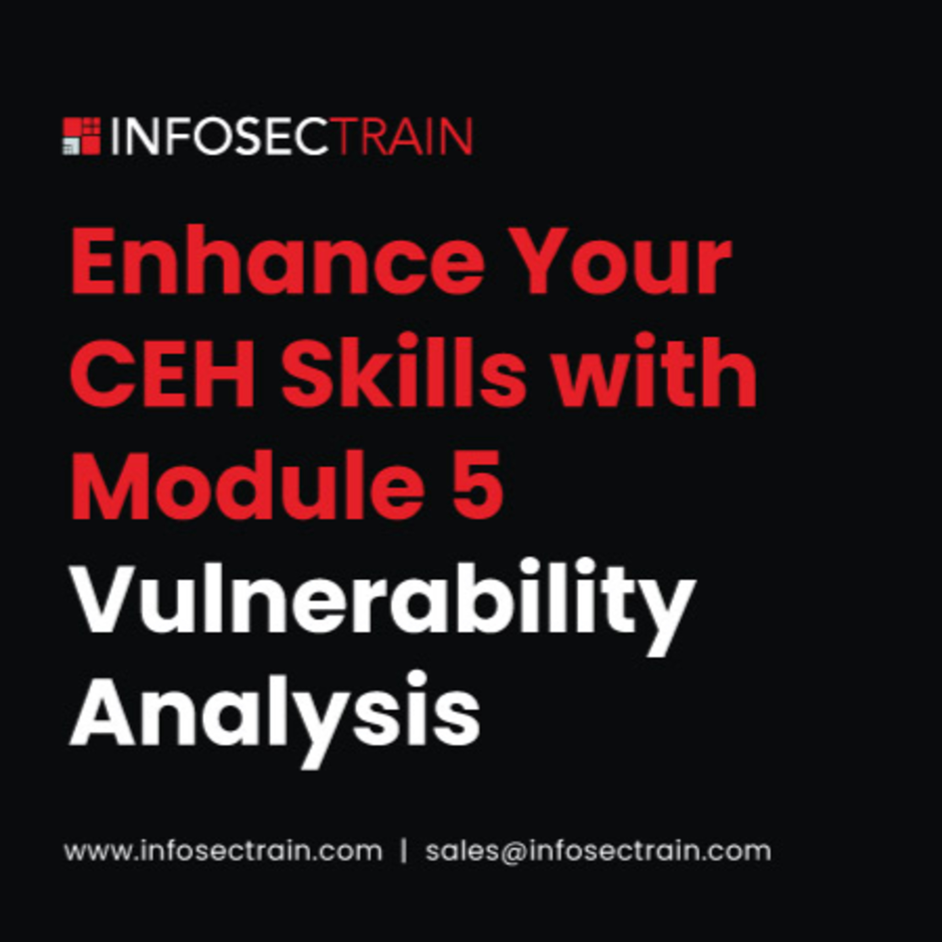Enhance Your CEH Skills with Module 5: Vulnerability Analysis