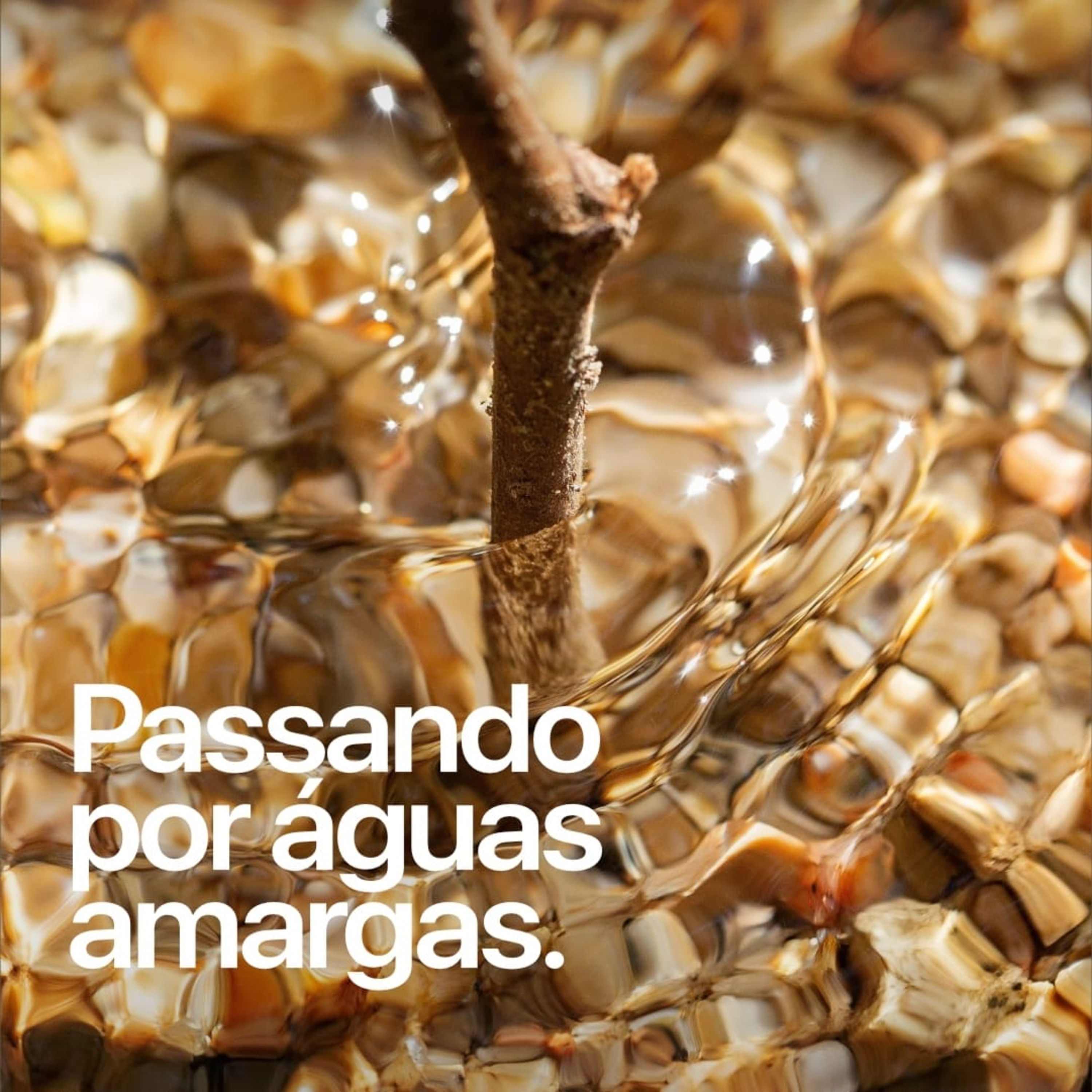 Amor e Cuidado