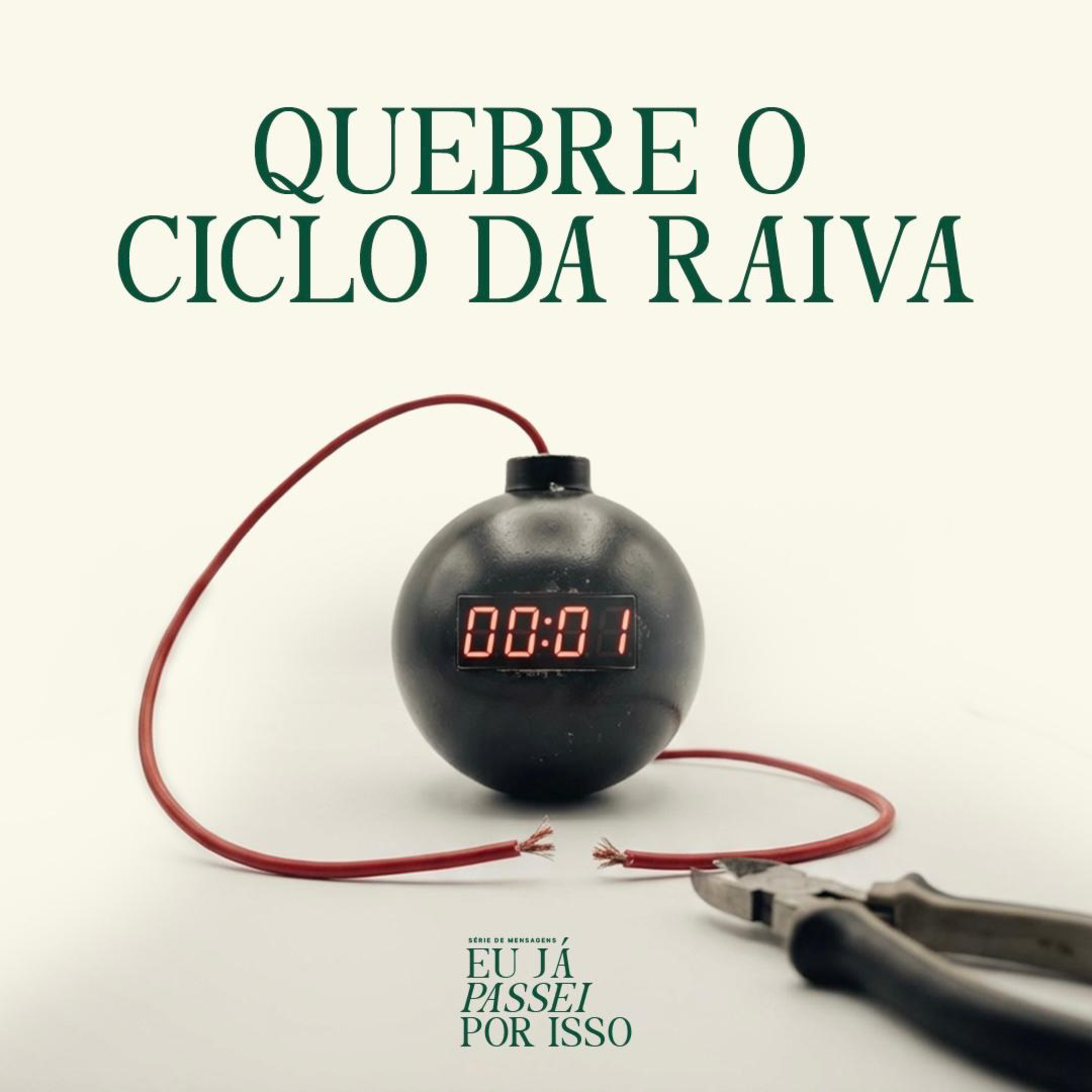 Quebre o Ciclo da Raiva| Bp. Marcelo Toschi