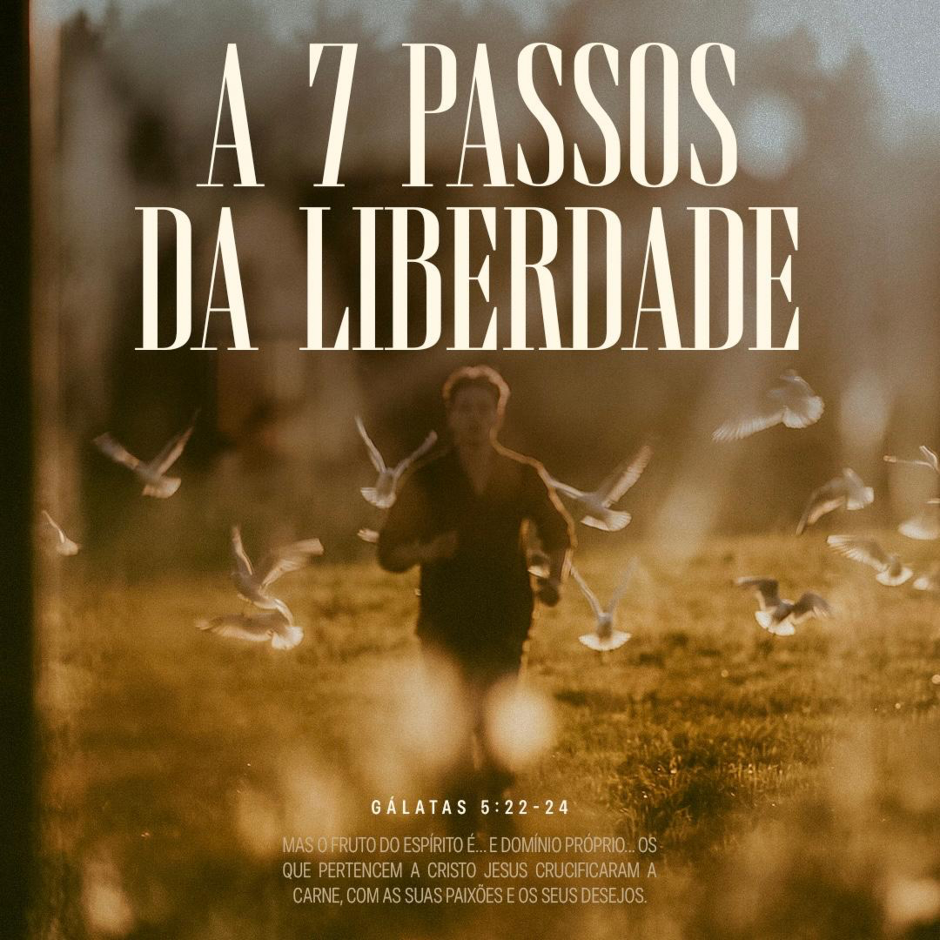 7 Passos da liberdade| Bp. Marcelo Toschi