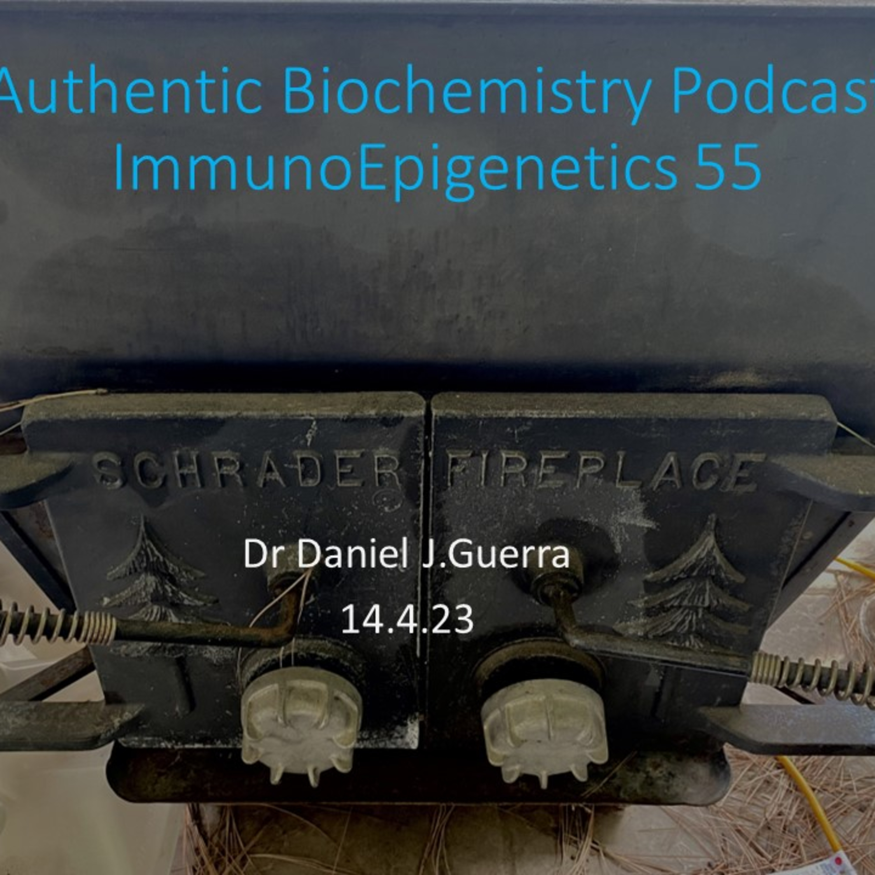 ImmunoEpigenetics55. ILC and Treg differentiation is mediated by acetylation and methylation epigenegtic authorship at discrete TF binding site domains.DJGPhD.14.4.23. Authentic Biochemistry