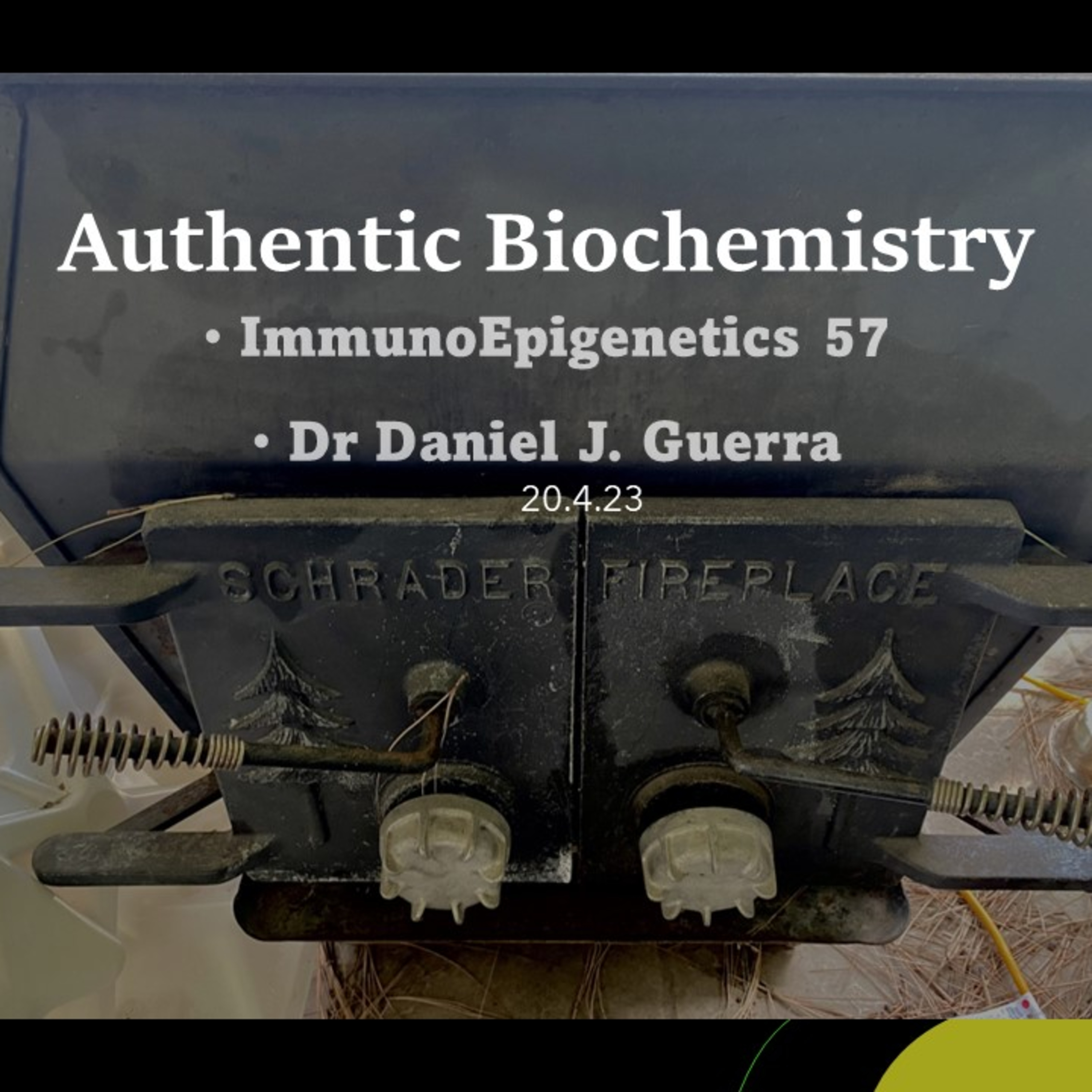 ImmunoEpigenetics 57. Plasmacytoid dendritic cell neoplasias and the CAR-T cell tumor microenvironment exposure altering epigenetic TF regulation leading to diverse differentiation. DJGPhD.20.4.23