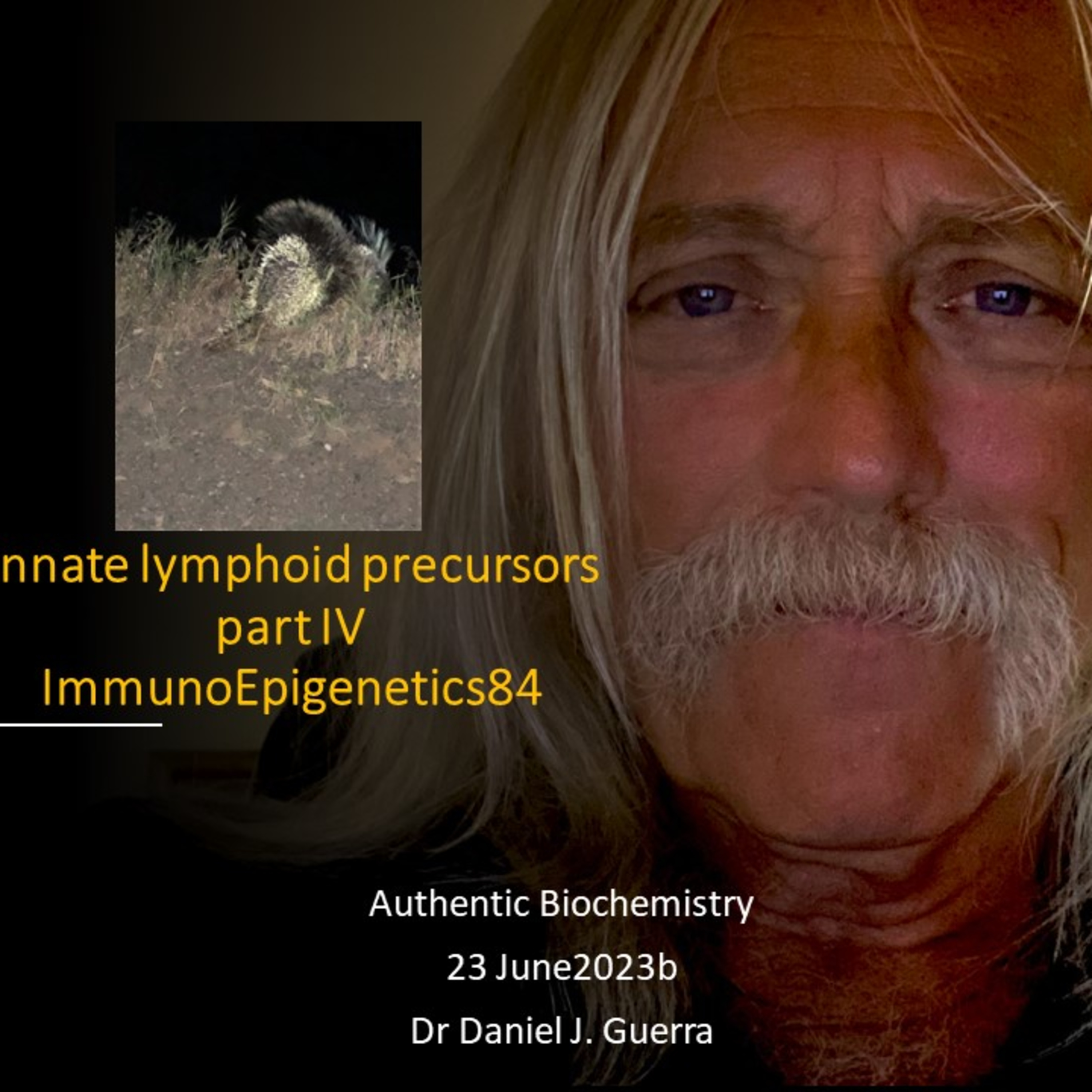 ImmunoEpigenetics84. T cell and ILC transcription factor and cytokine signaling coordination to accelerate a combined innate/acquired immune response requires discrete epigenetic programming. DJGPhD.