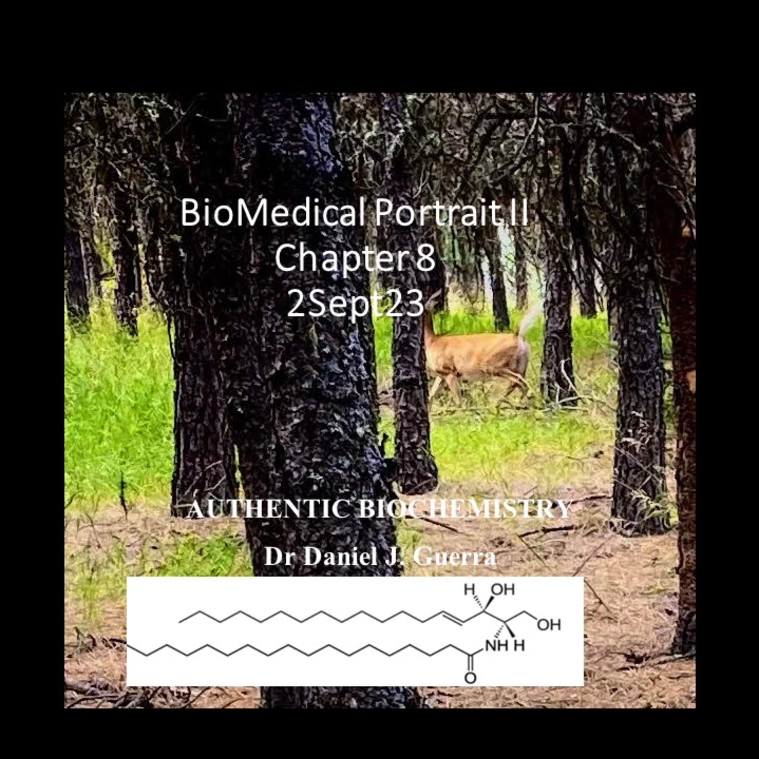 BioMedical Portrait II. C.8. Alterations in sphingosine metabolism linked to breast cancer staging in women and progression of NAFLD to NASH and HCC is much lower in women until menopause.DJGPhD.