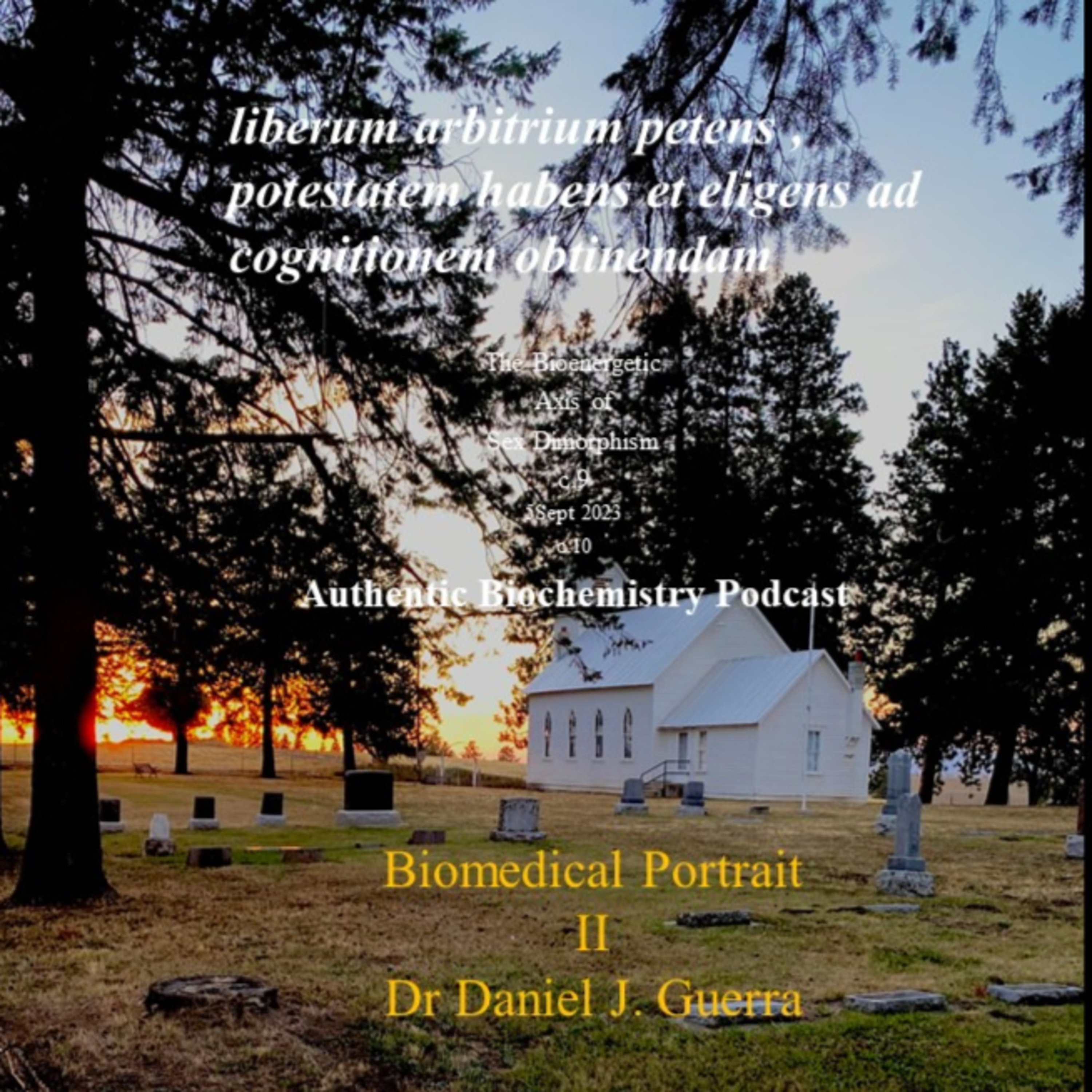 Biomedical Portrait!!,c.10 Older women have more reactive oxygen and fewer functional mitochondria and DNA content than older men or younger women.DJGPhD.5Dept2023. Authentic Biochemistry Podcast.