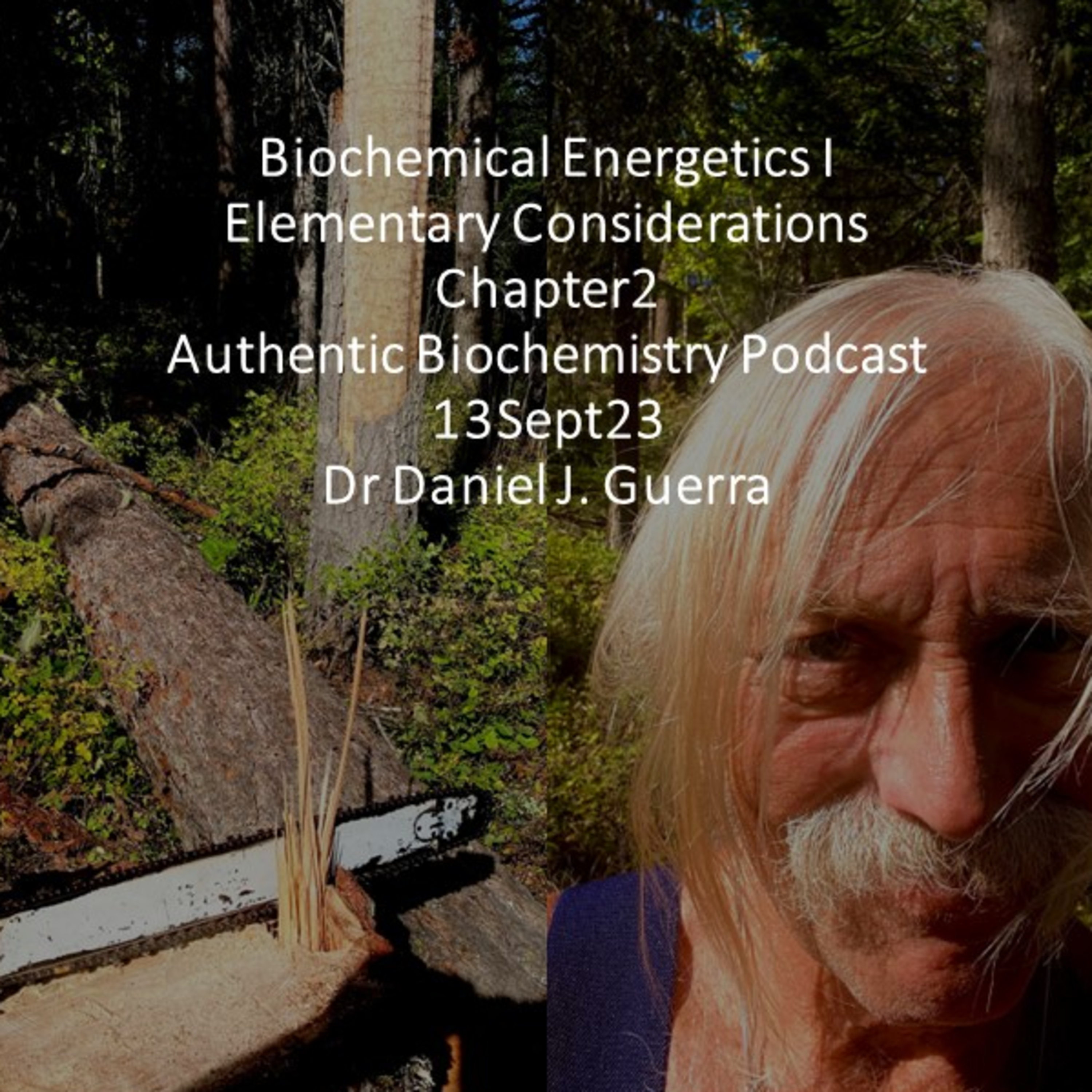 Biochemical Energetics. Elementary Considerations chapter2. DJGPhD. 13.9.23 Authentic Biochemistry Podcast