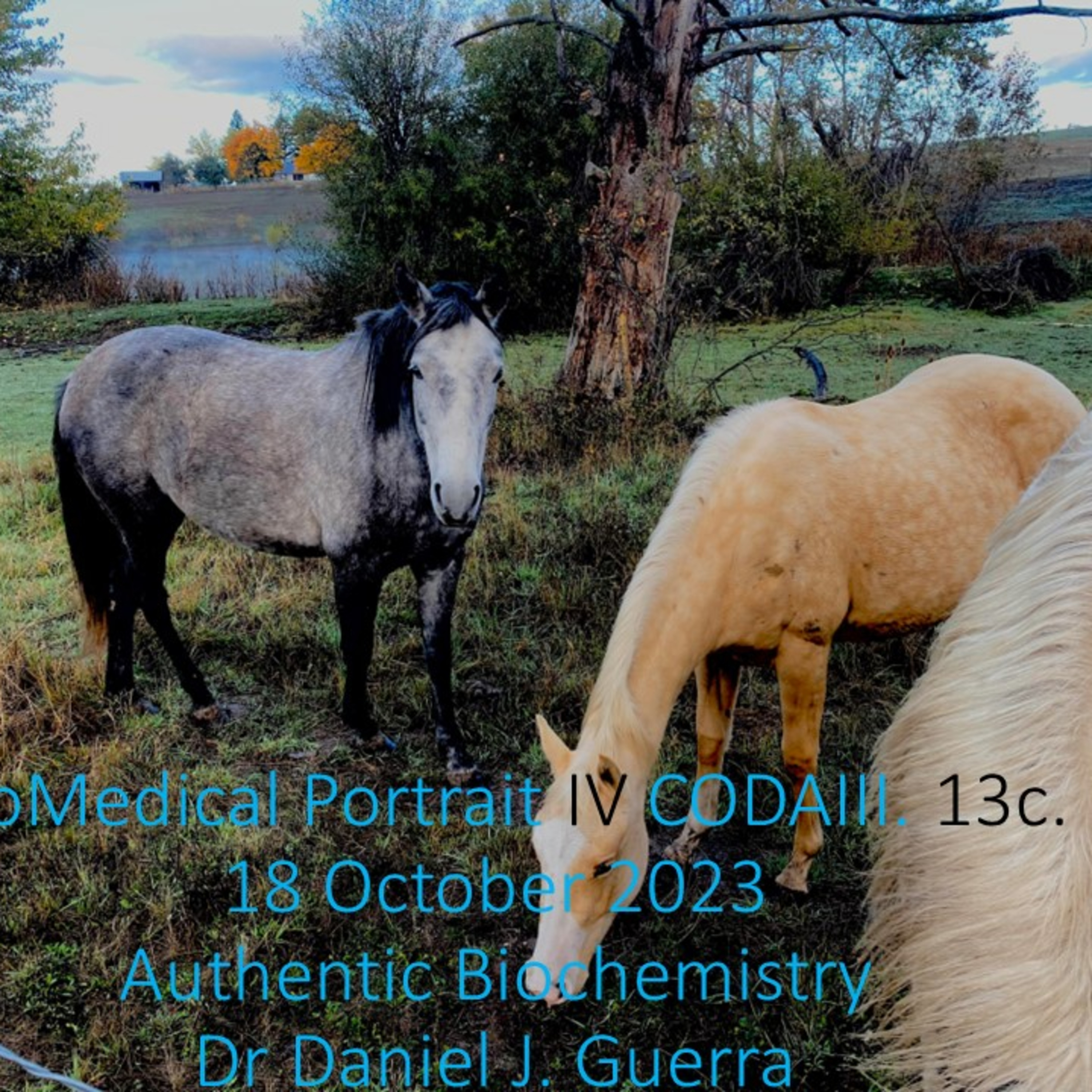 BioMedical Portrait IV. CODAIII. c13. Microglial and astrocytic CNS local neuronal environment temporality may apprehend FTD stages in the human CNS.DJGPhD.18.10.23. Authentic Biochemistry Podcast