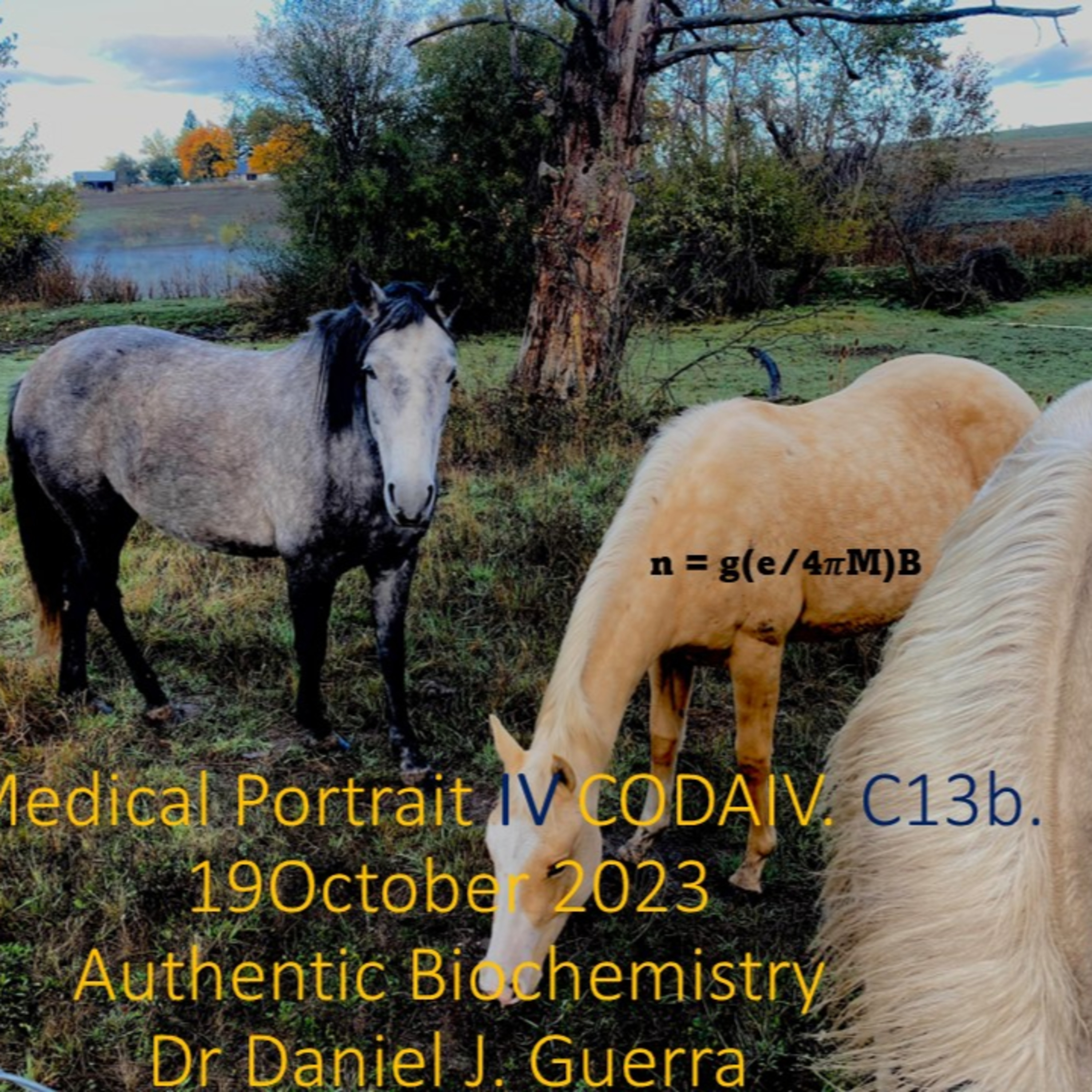 BioMedical Portrait IV. 13b. Magnetic Resonance Imaging as a non-invasive tool in Neurodegenerative Diseases. DJGPhD.19.10.23 Authentic Biochemistry.