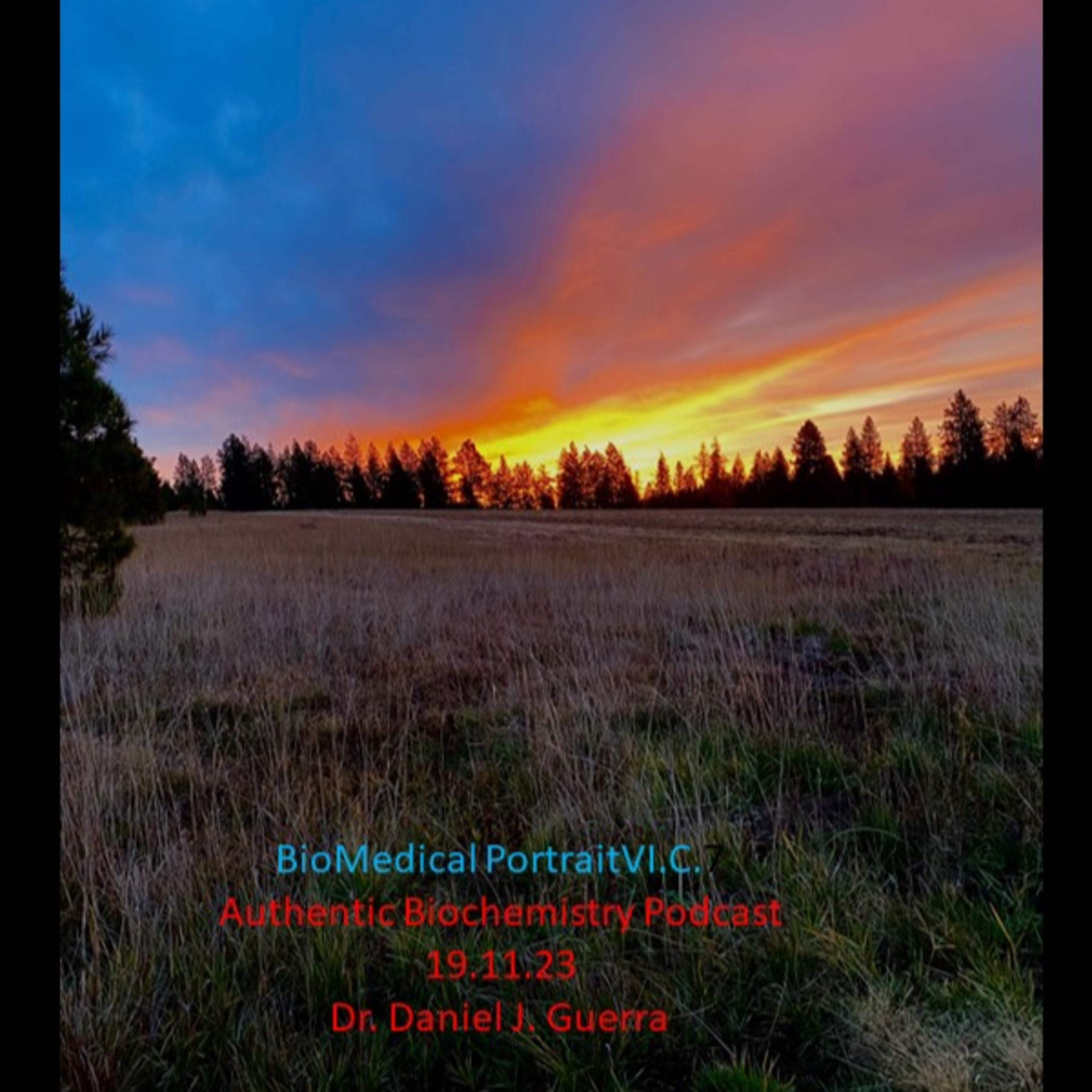 BioMedical PortraitVI.C.7 IEI/IEM pathobiochemistry involves bioenergetics, transcriptional , translational, and post-translational modification sequalae.DJGPhD.19.11.23 Authentic Biochemistry.